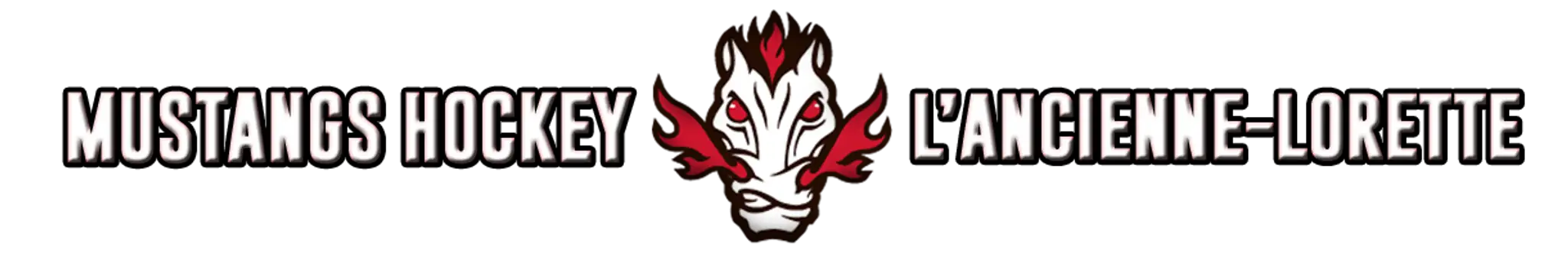 Hockey l'Ancienne-Lorette