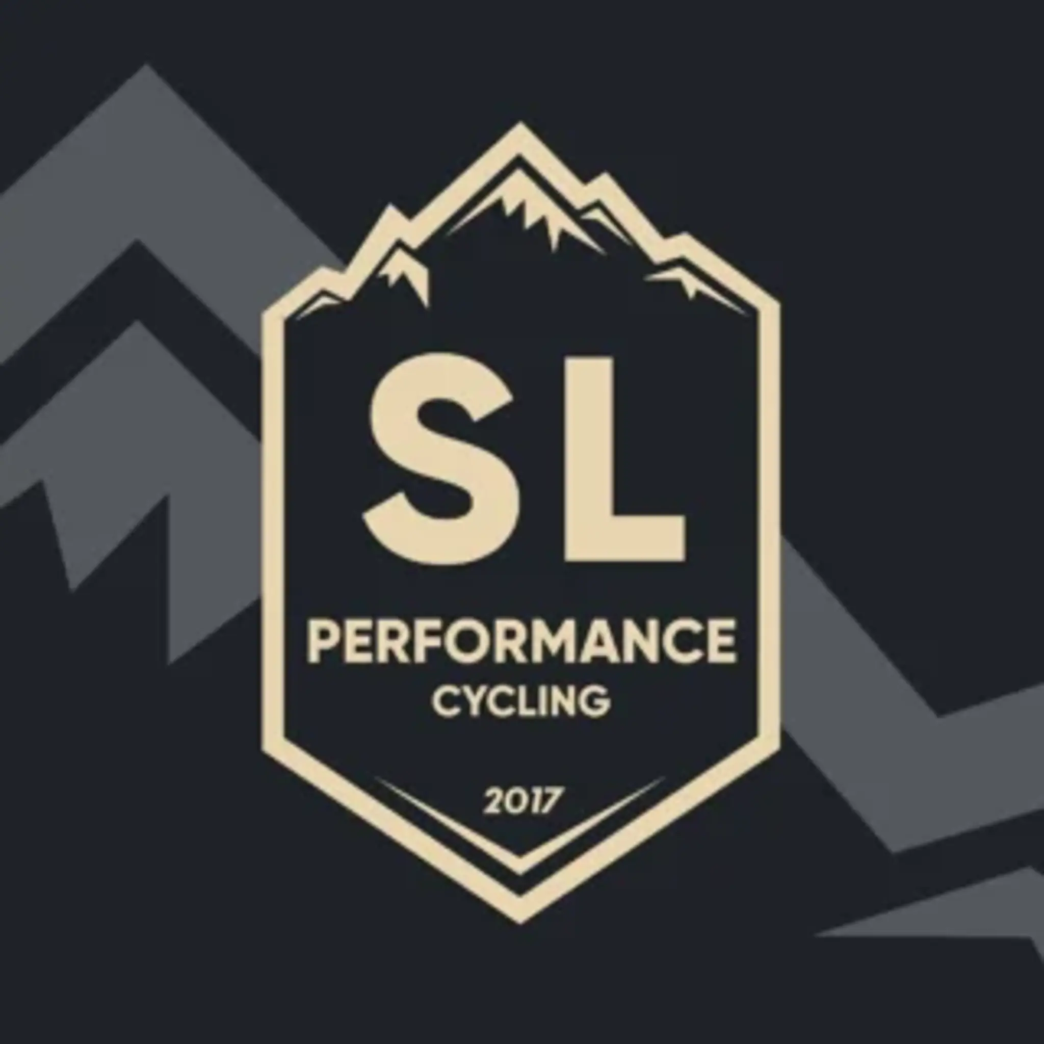 SL PERFORMANCE