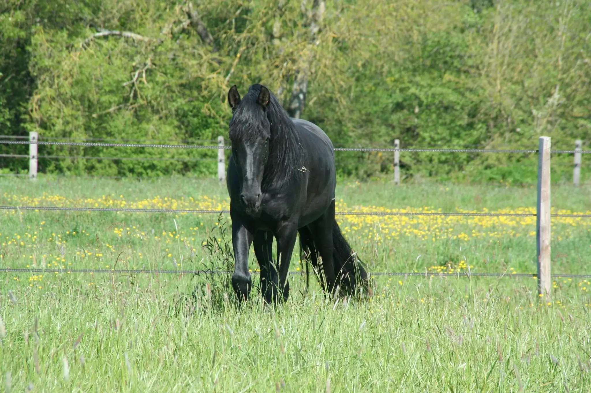 Les Écuries De L'ardrère - Corlay