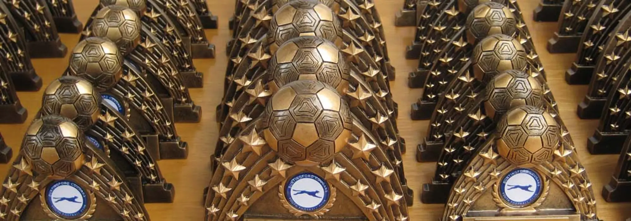 Buntingford Cougars Youth Football Club