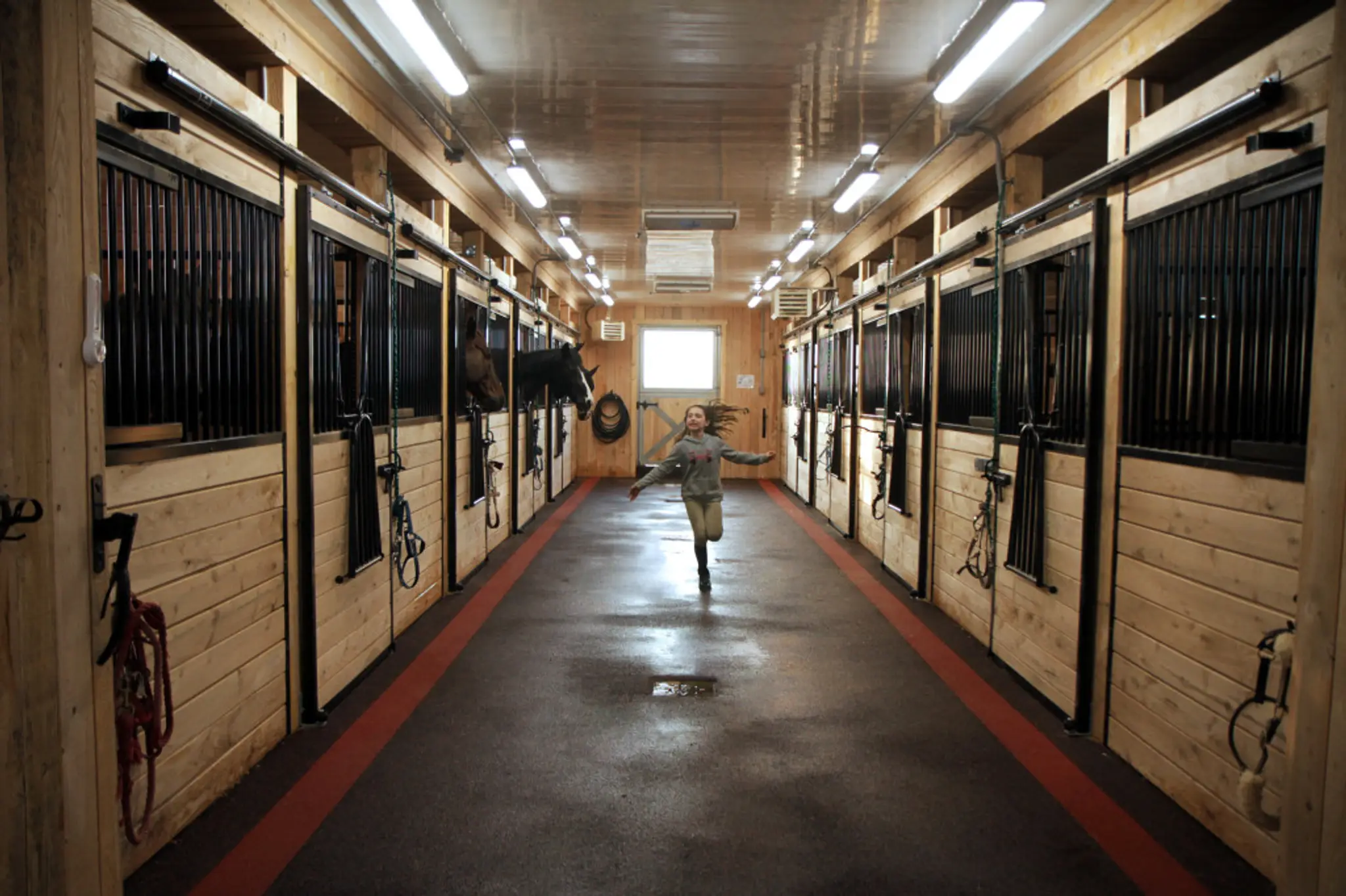 Acadmie questre du Surot