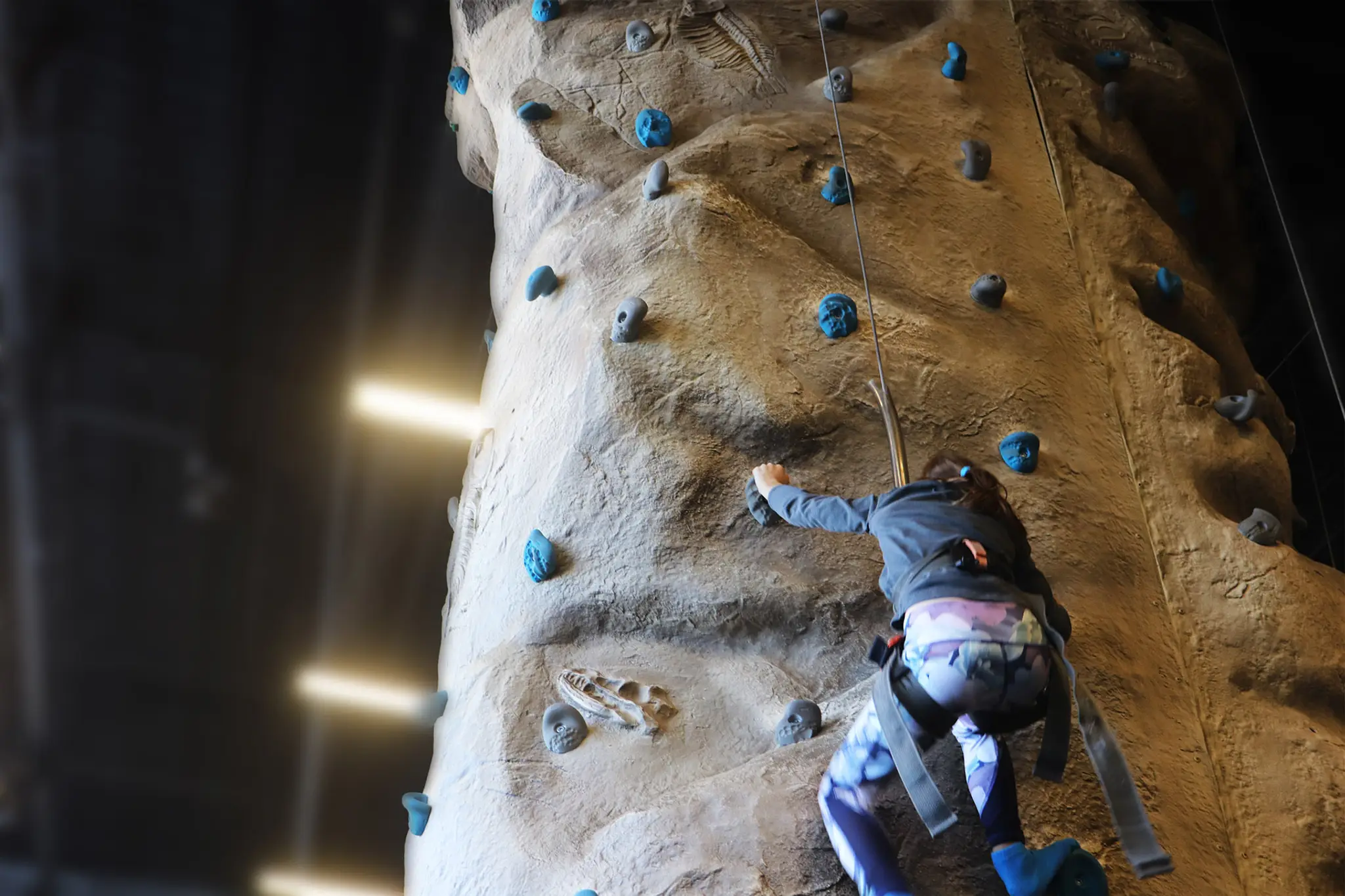 Elevation Trampoline & Amusement Montreal