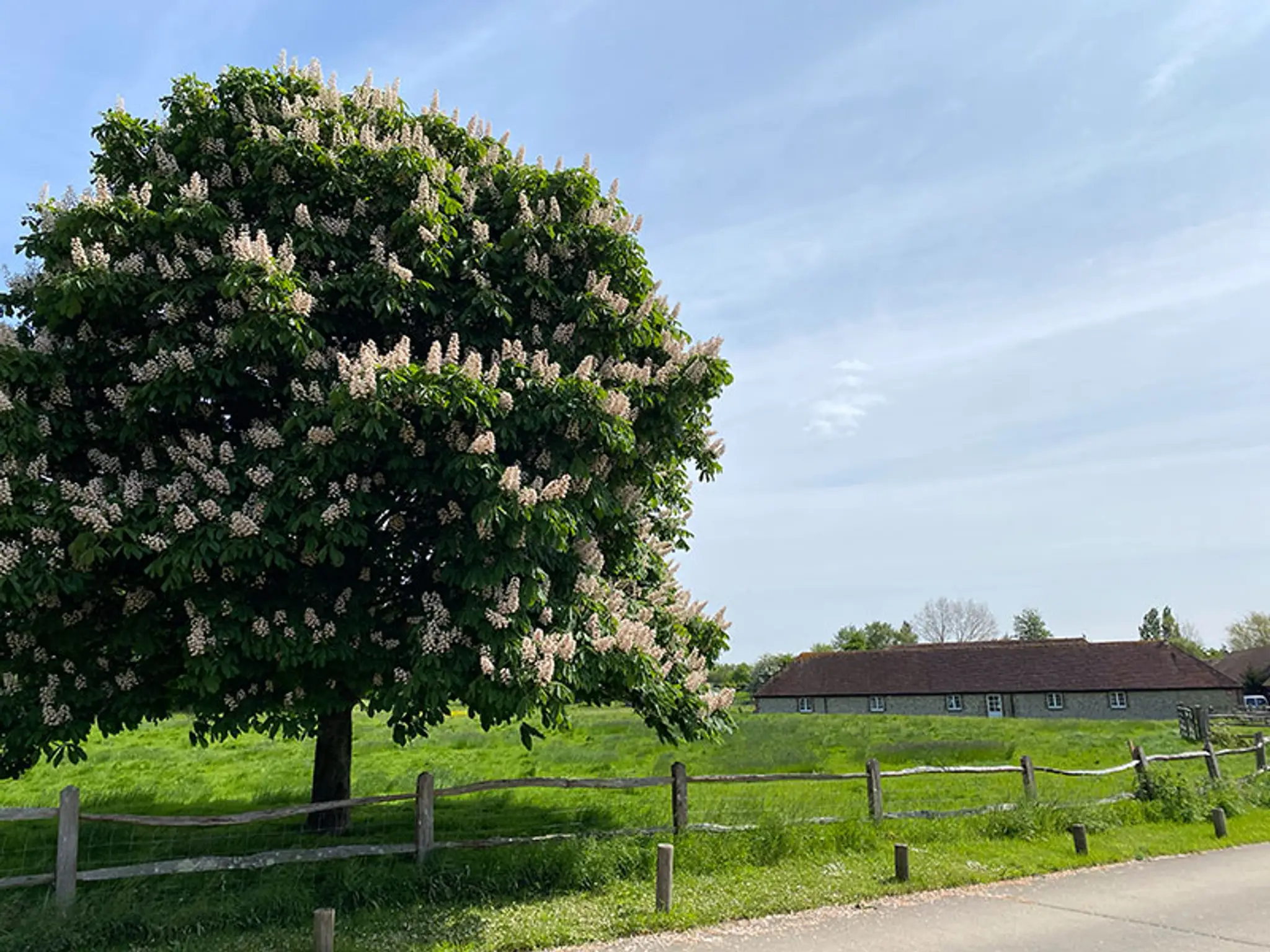 The Boxgrove Clinic - Physiotherapy, Rehabilitation & Pilates