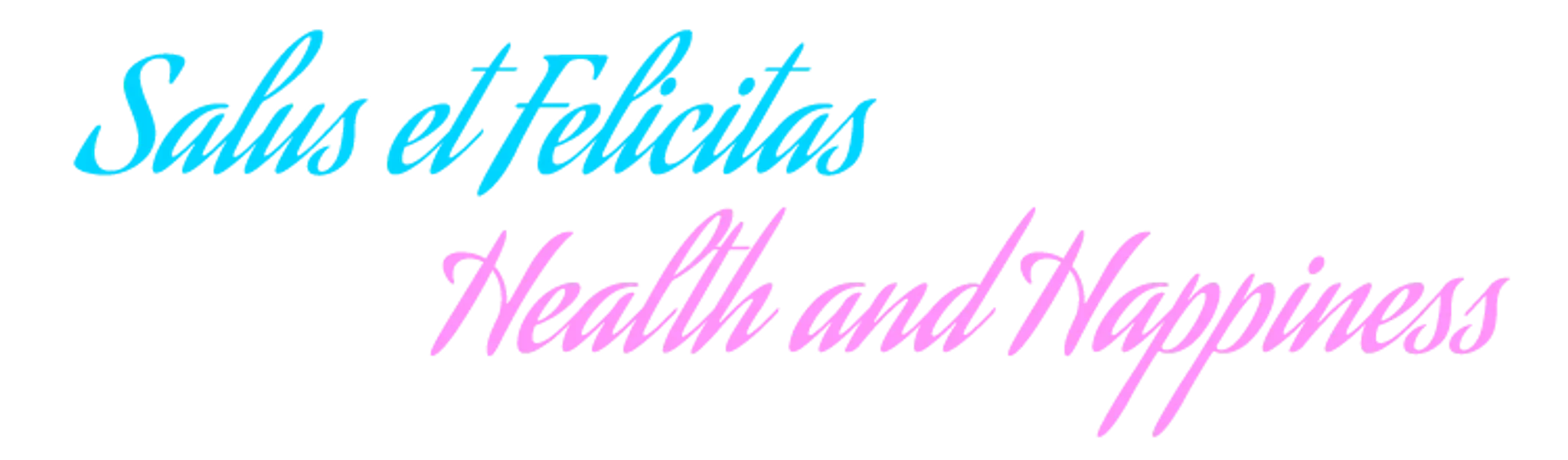 Bullet Fitness; PT, Yoga, Pilates & Acupuncture