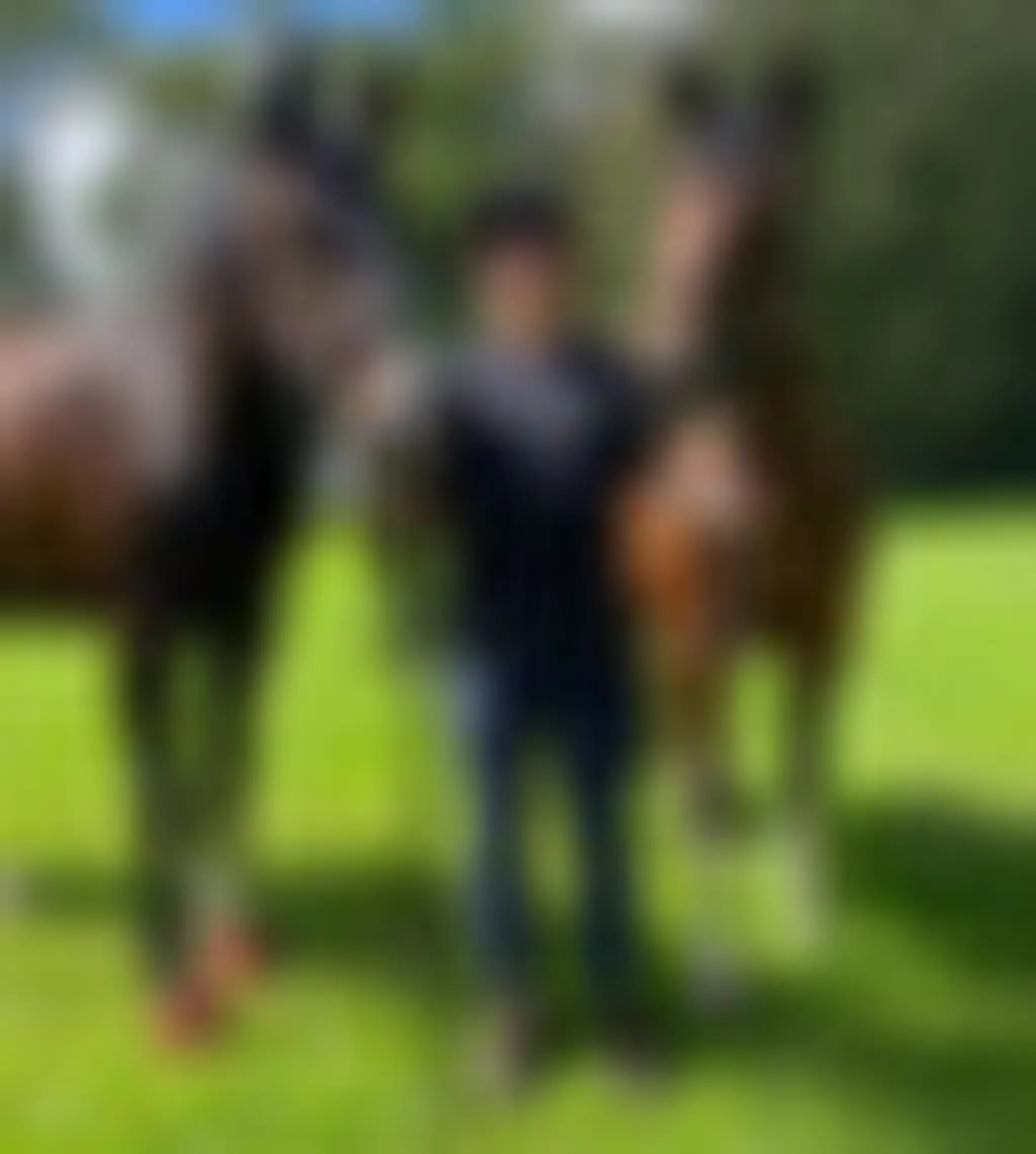 Coltspring School Of Riding