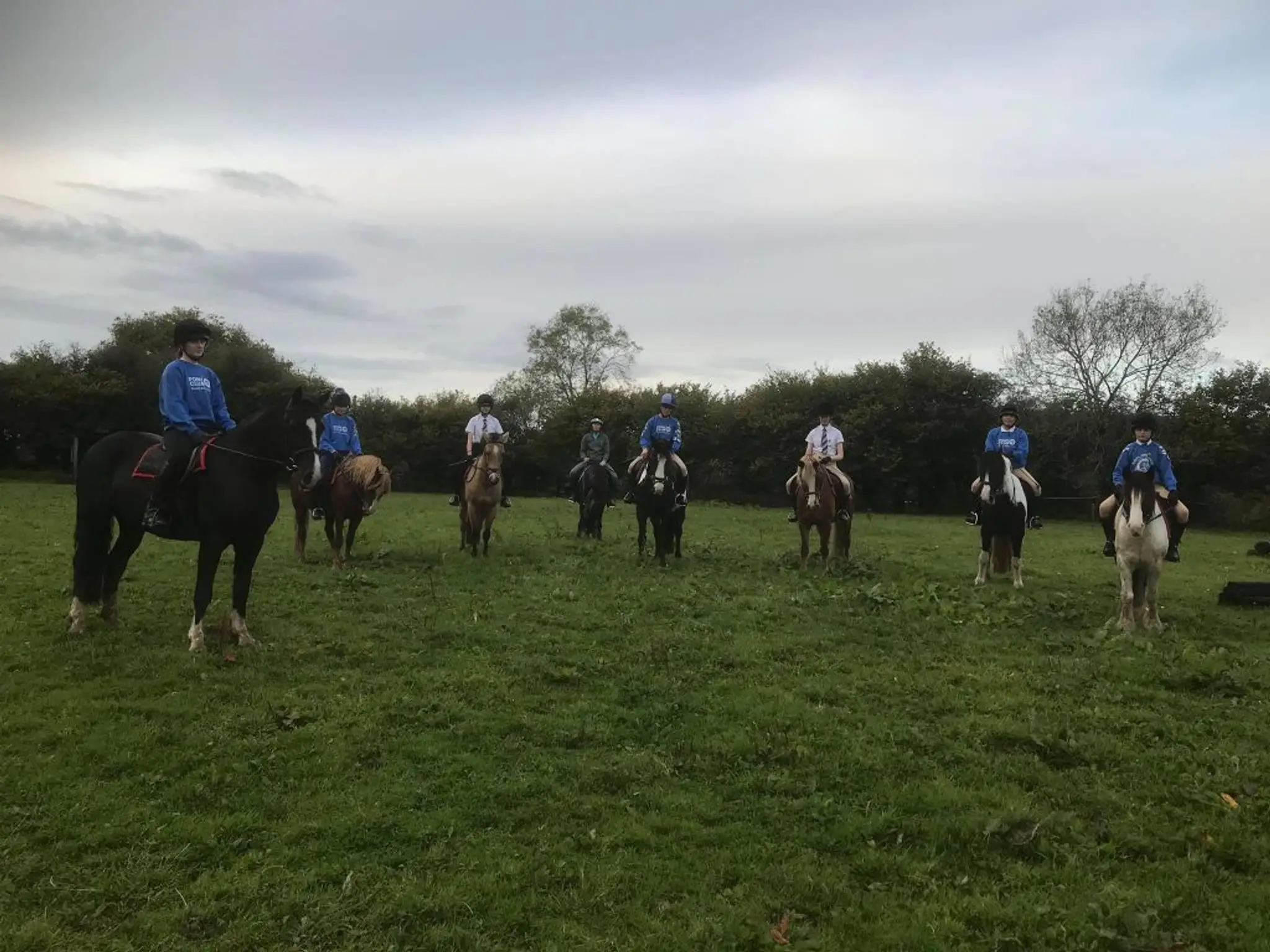 Rheidol Riding Centre