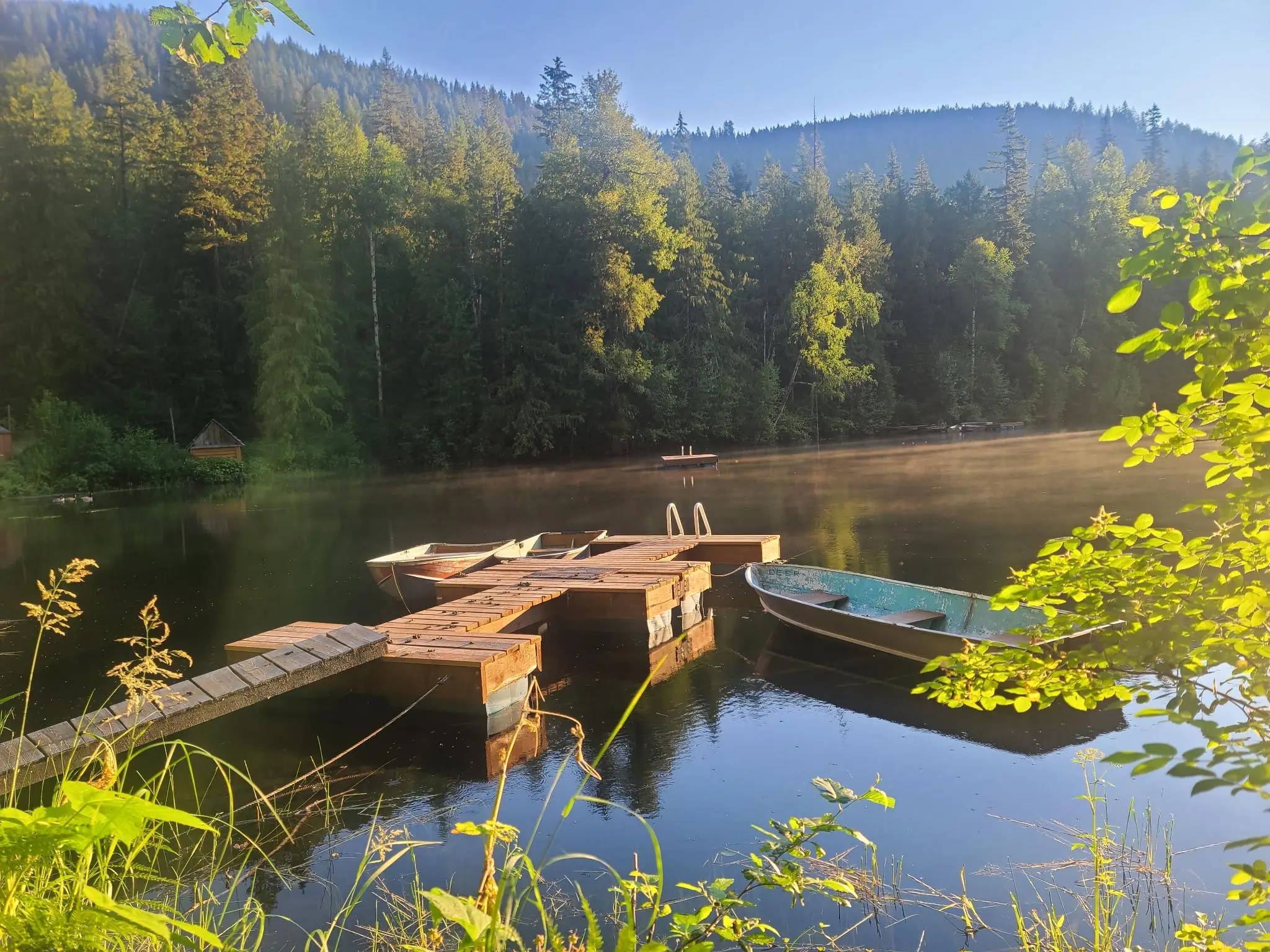 Cozy Cabins Wellness Resort