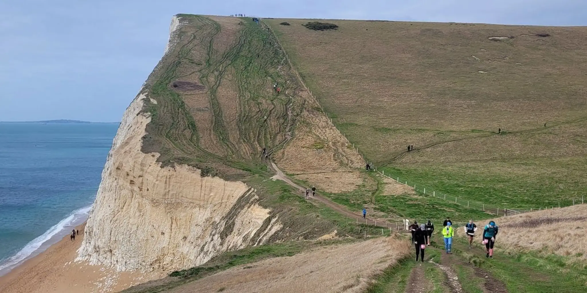 Revival Fitness Company