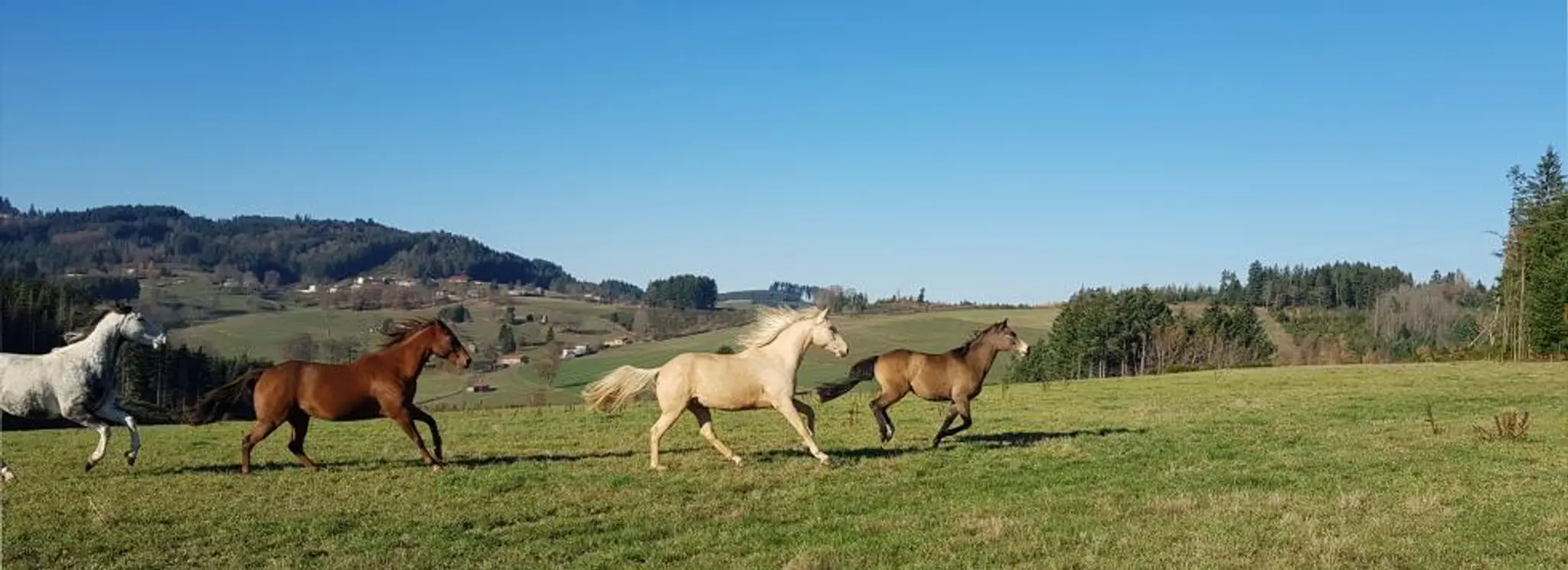 Pradis Horse Holidays / Home & Holidays À Cheval