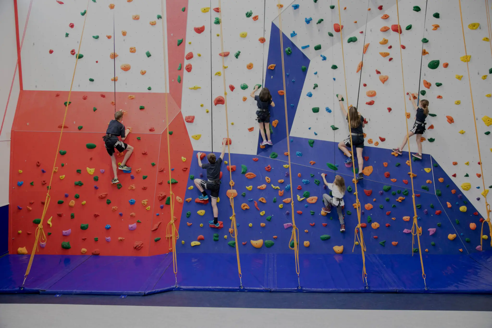 Lyce Climbing Wall