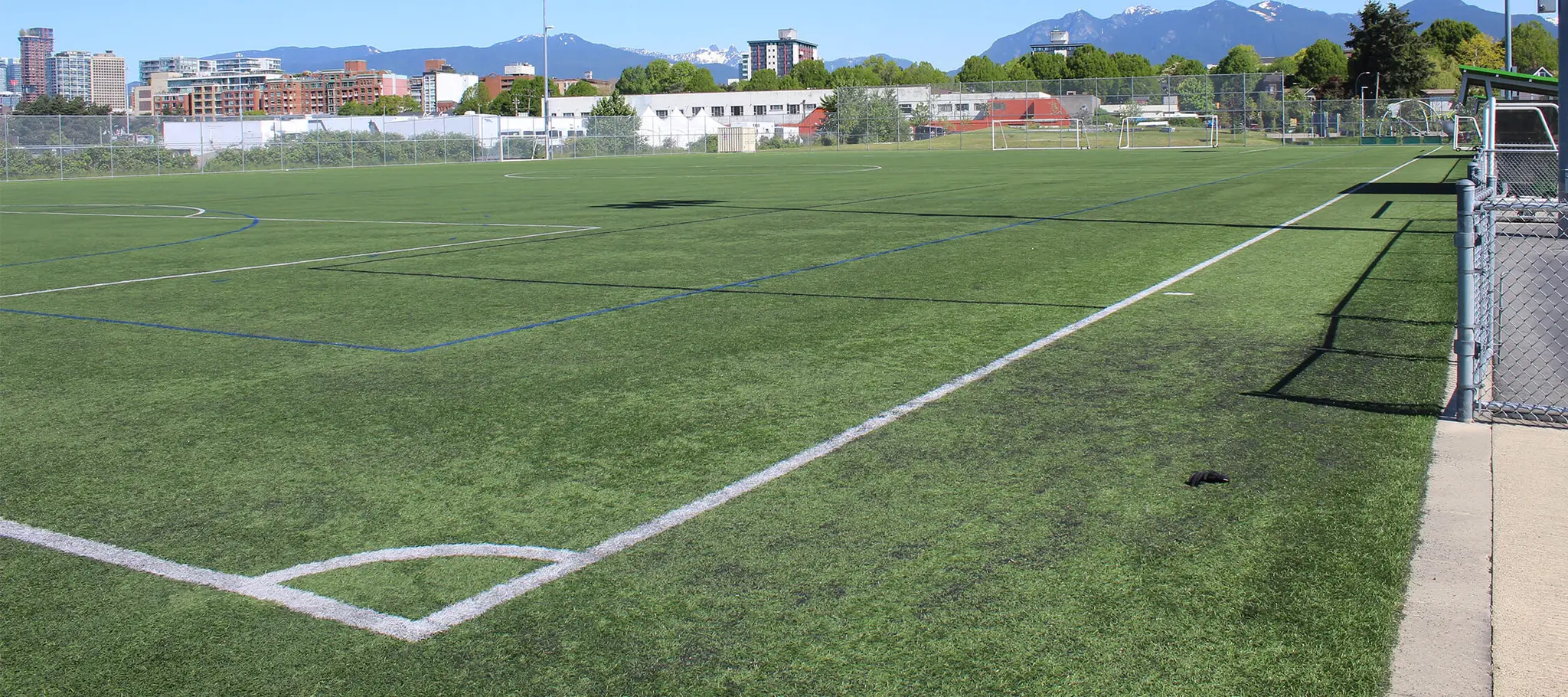Trillium Turf