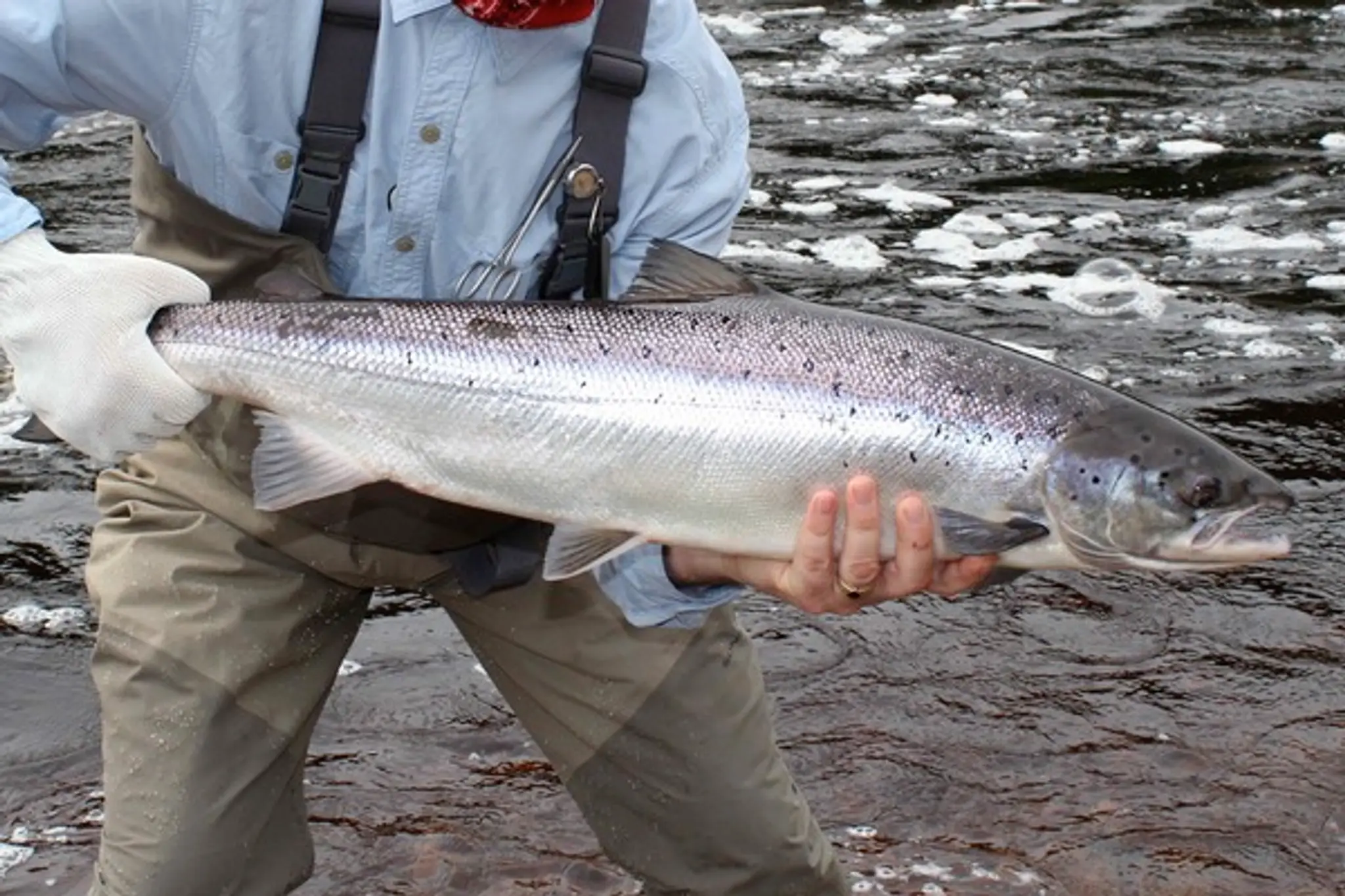 Humber Lodge Big Falls