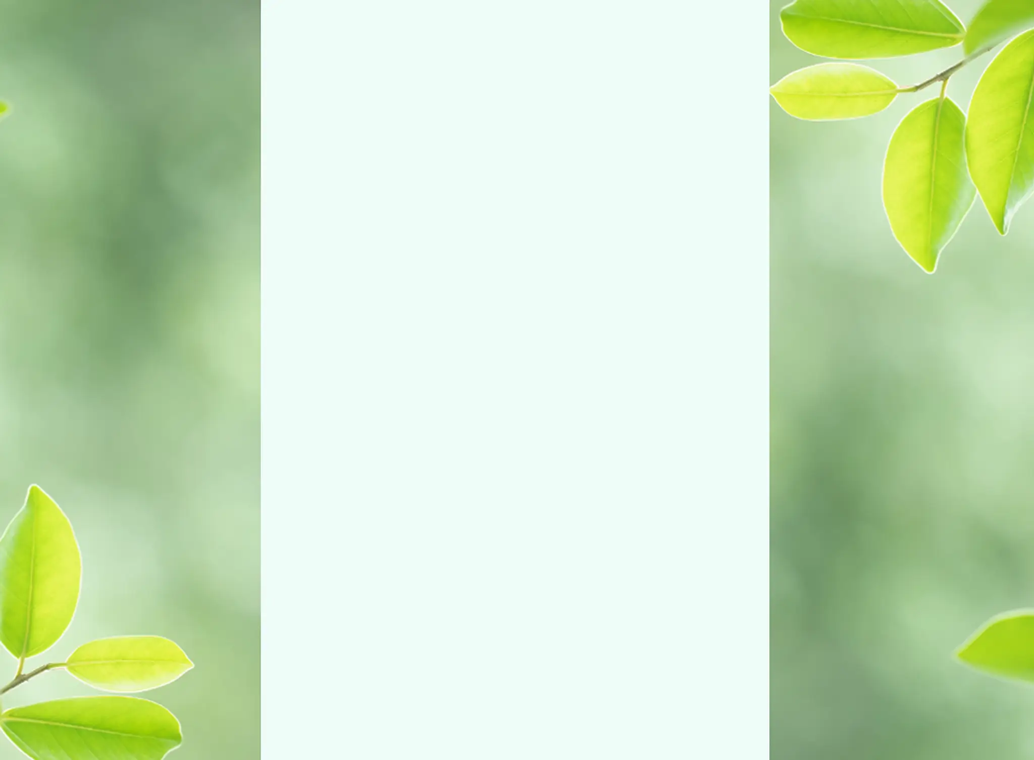 Eastwood Community League Rink