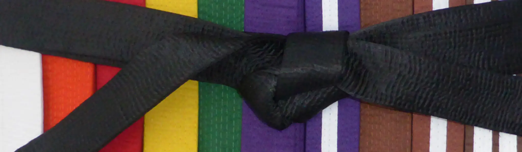 White horse karate club