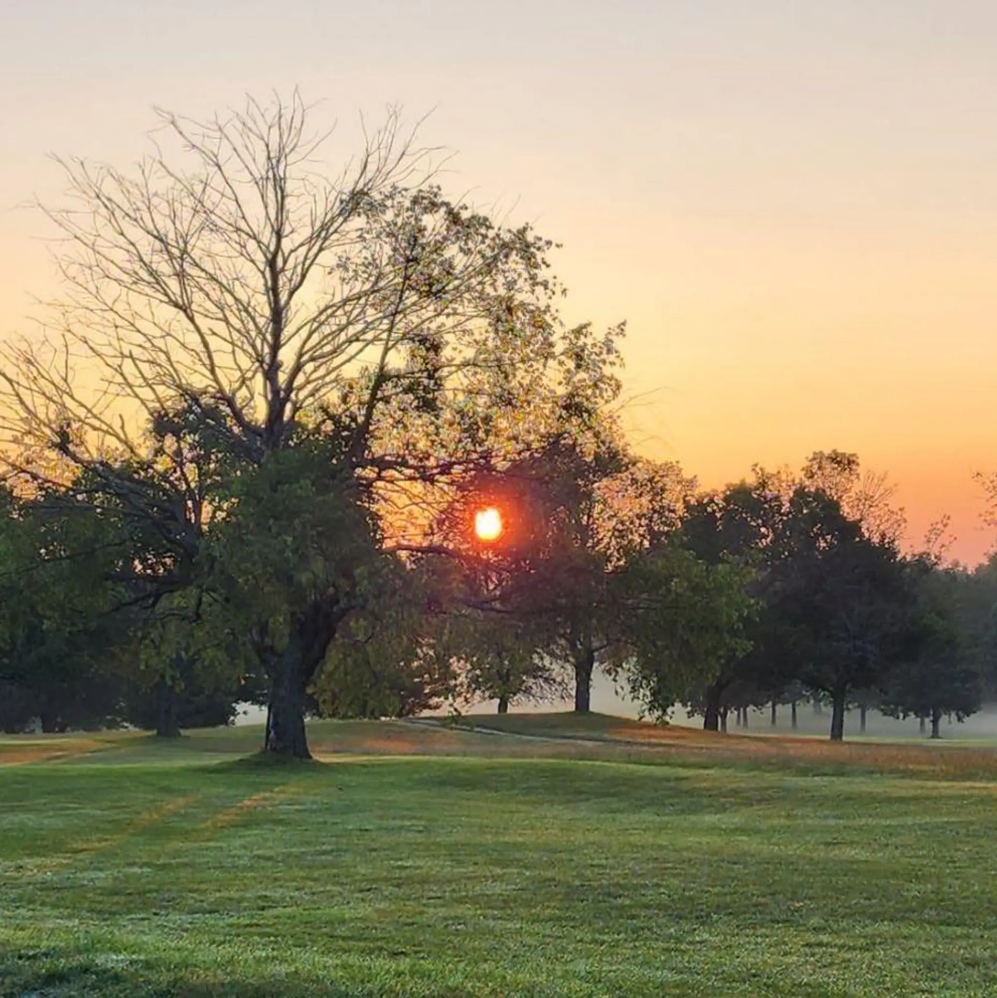 Markdale Golf and Curling Club