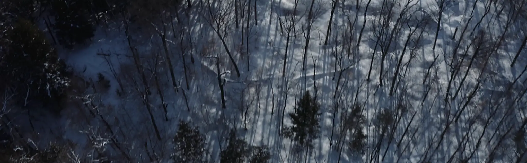 Prime time ice fishing