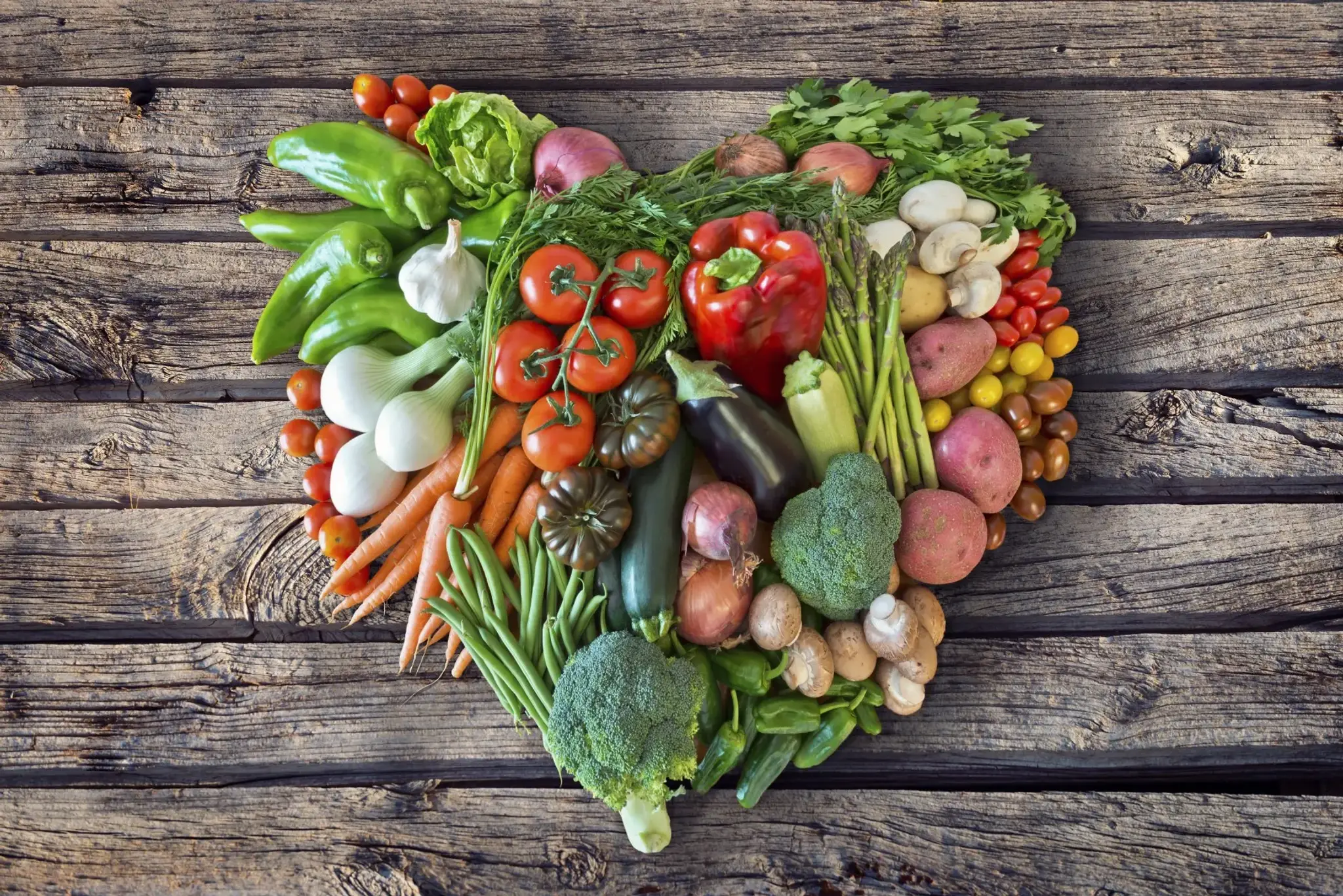 Tessa Fanshawe Fitness