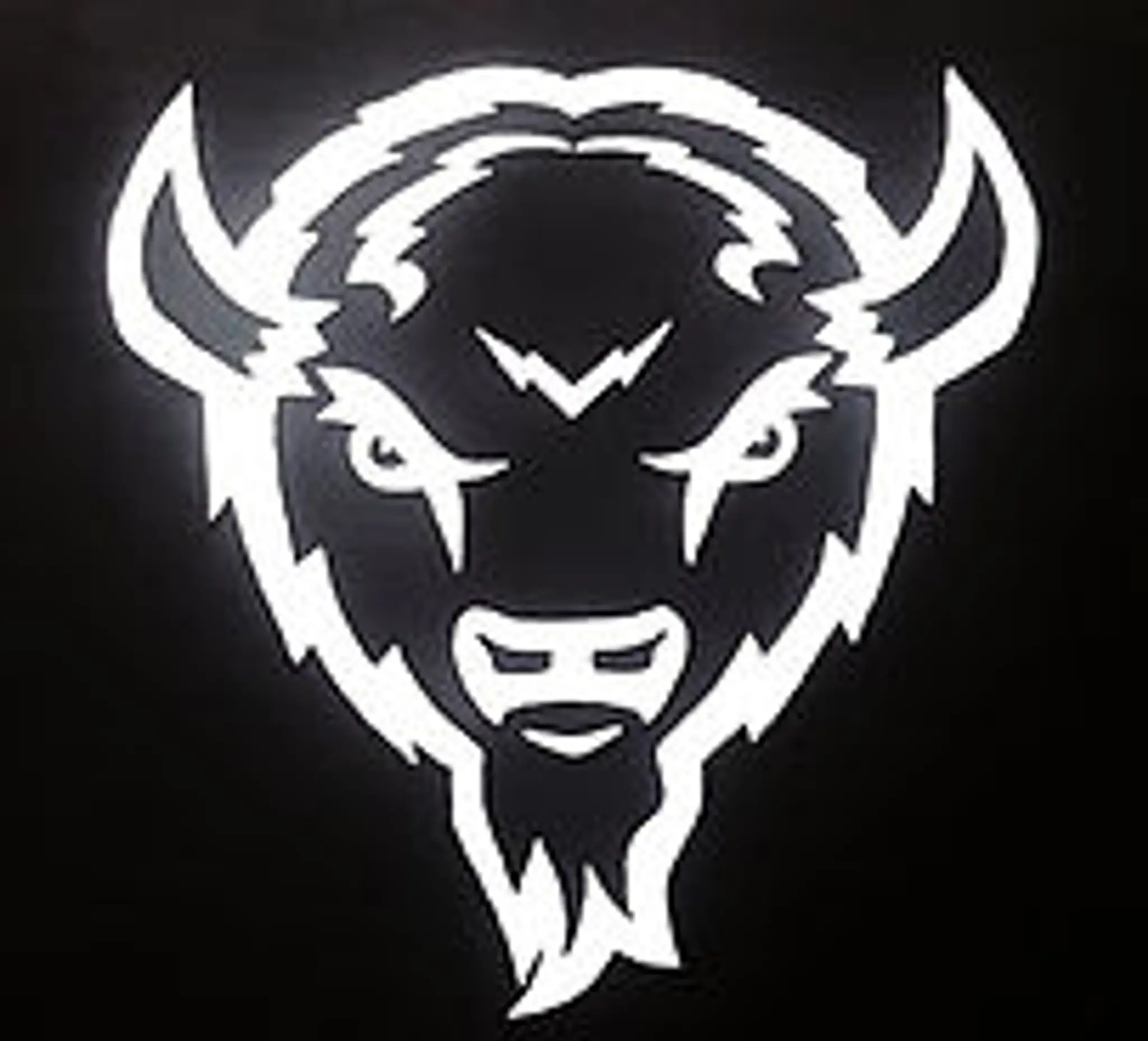 Bison Strength & Fitness