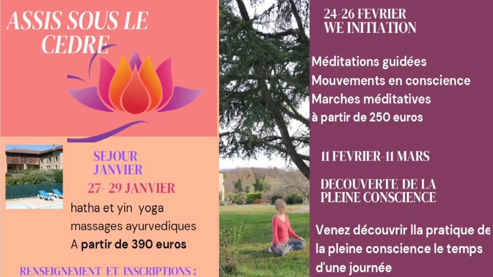 assis sous le cedre