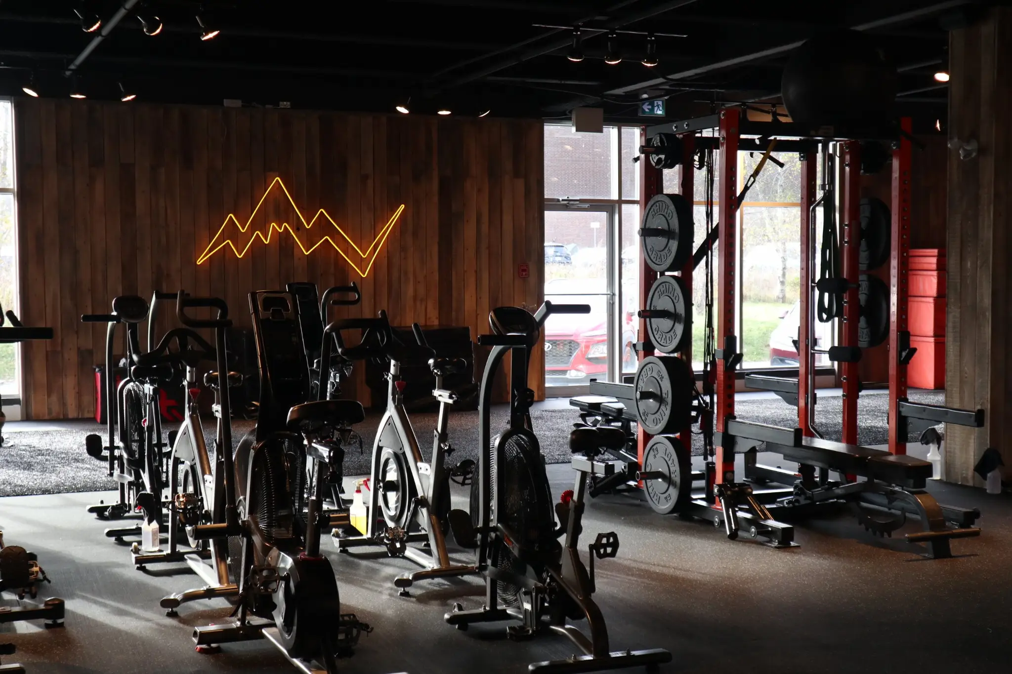 Proedge Elite Training