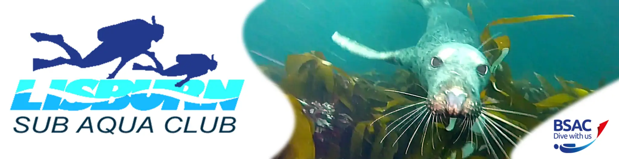 Lisburn Sub Aqua Club