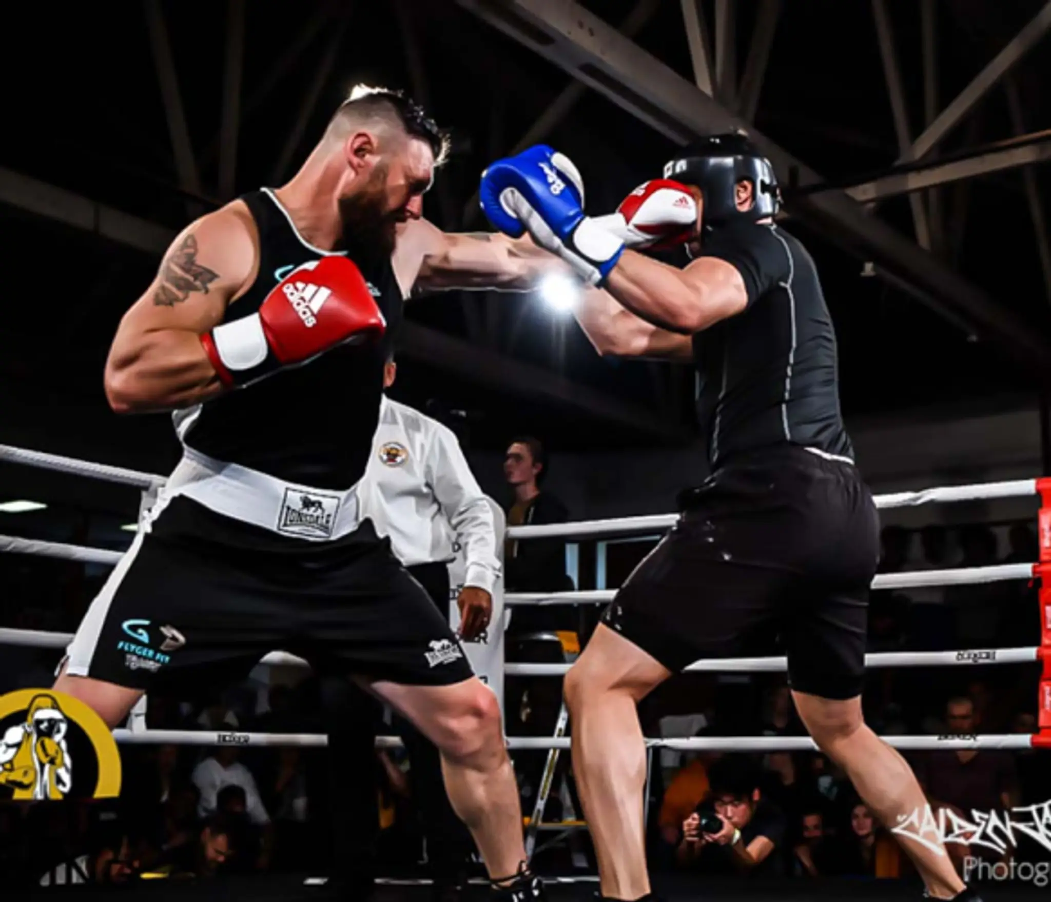 Glozier Boxing Glen Eden