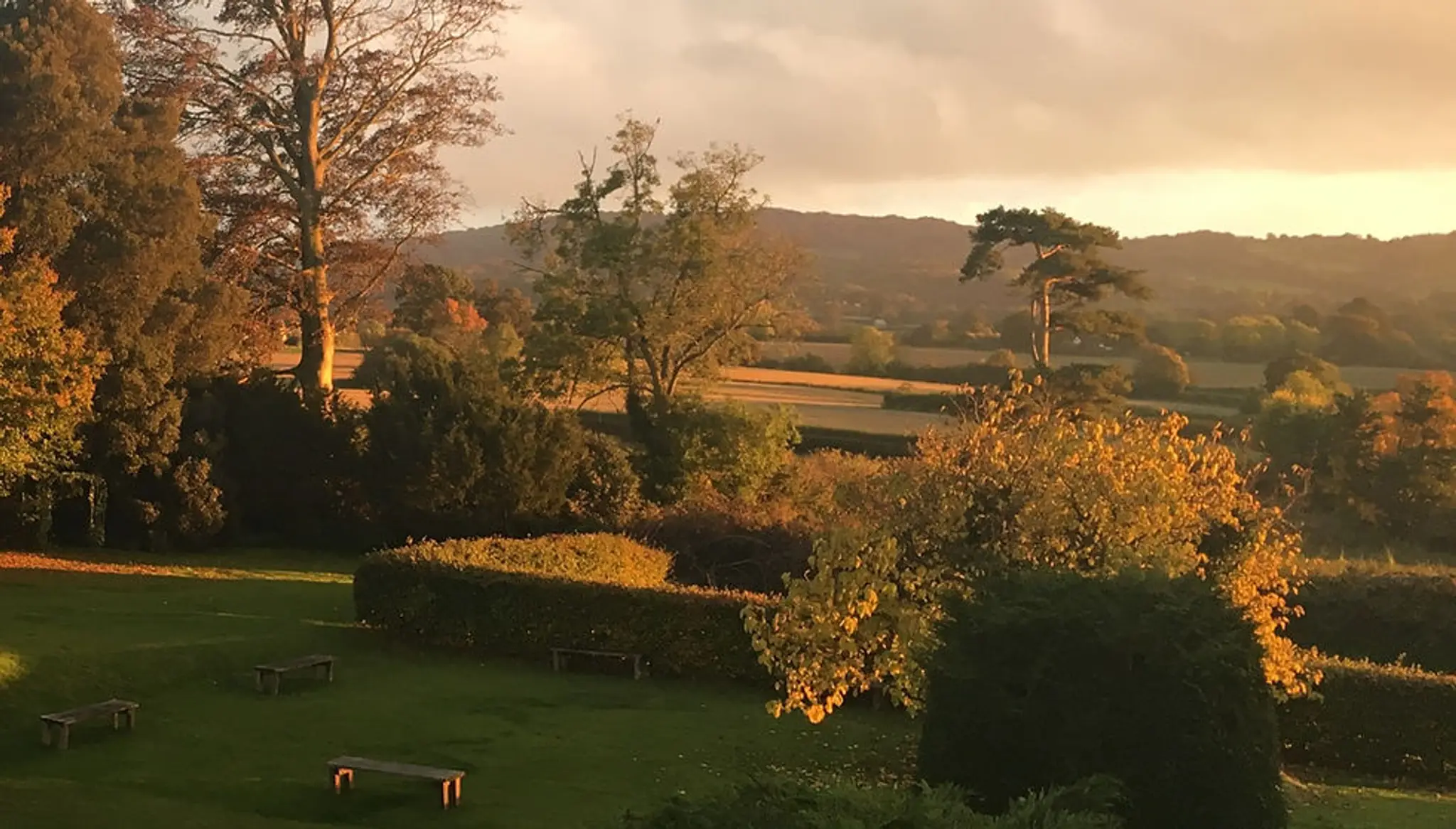 Bodywise Health & Wellness Spa