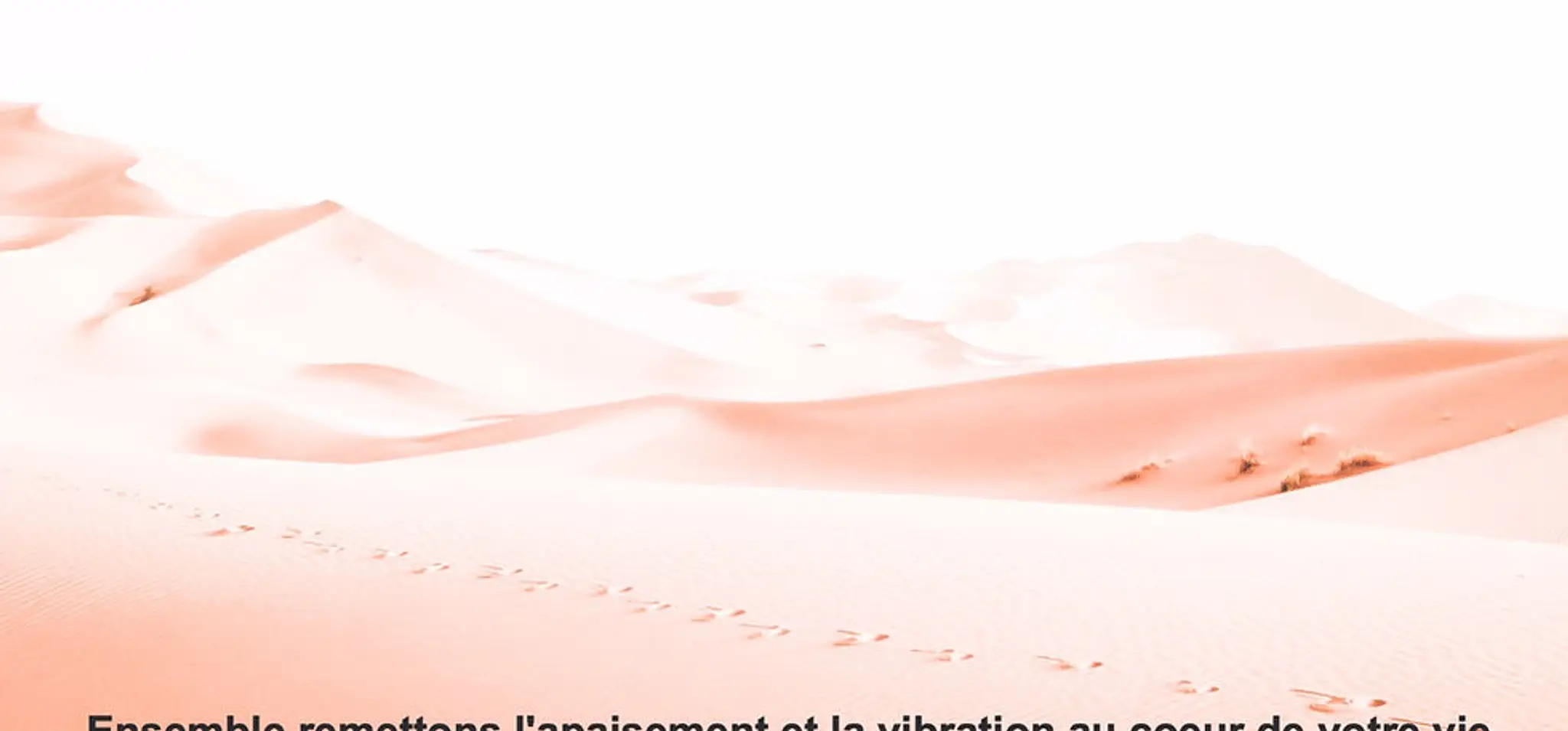 Eclaire Emoi Énergétique, Eft Et Yoga Jeune Public, Photostimulation Dreamtech