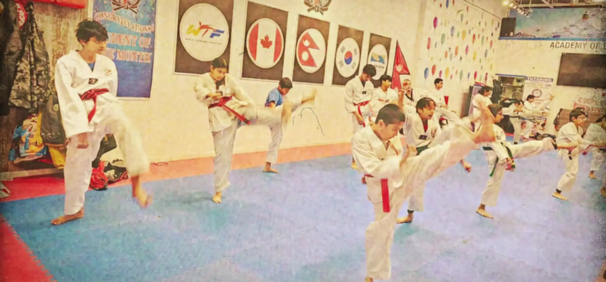 Everest Taekwondo Mississauga