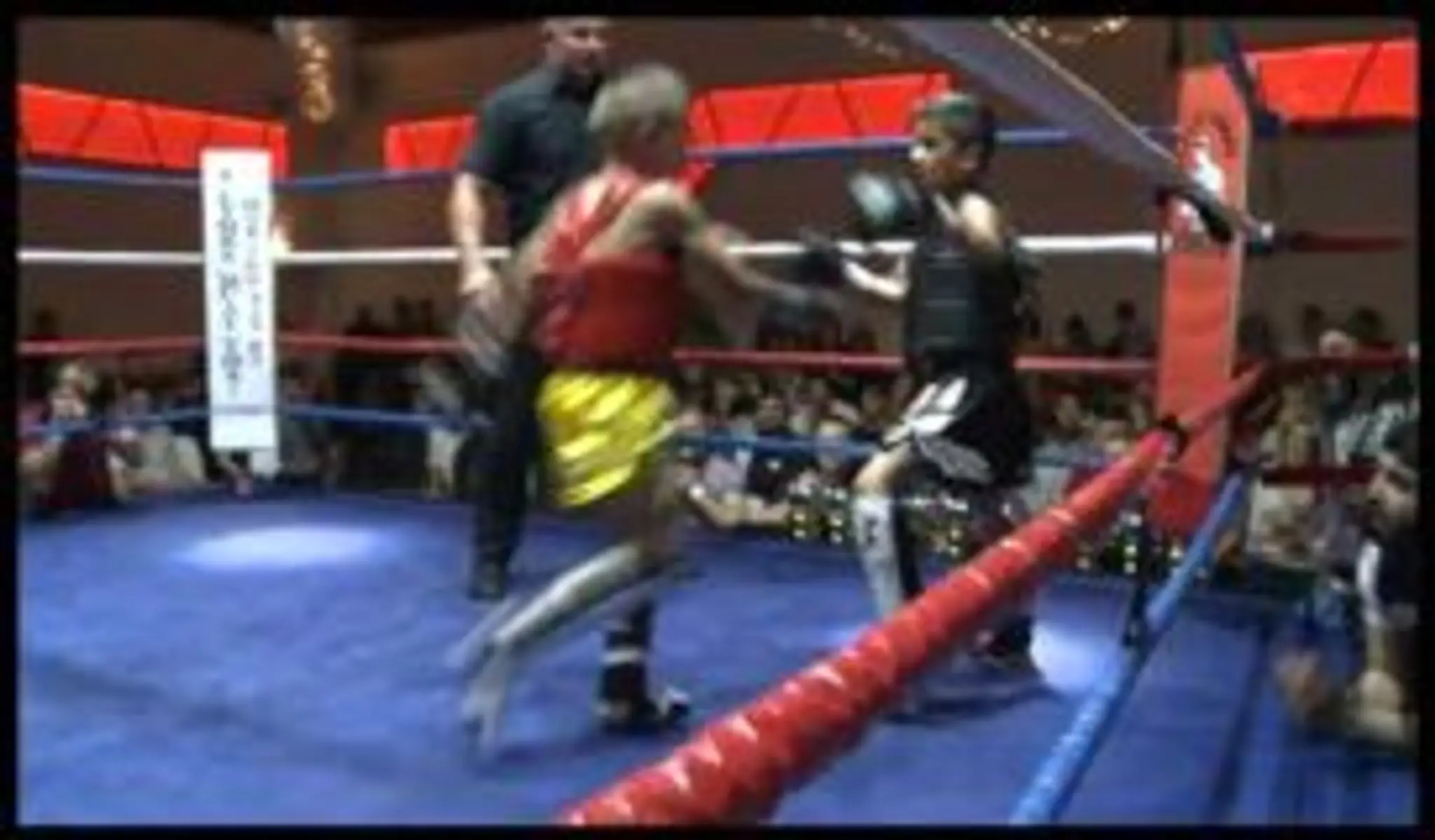 8 Limbs Muay Thai Martial Arts Academy