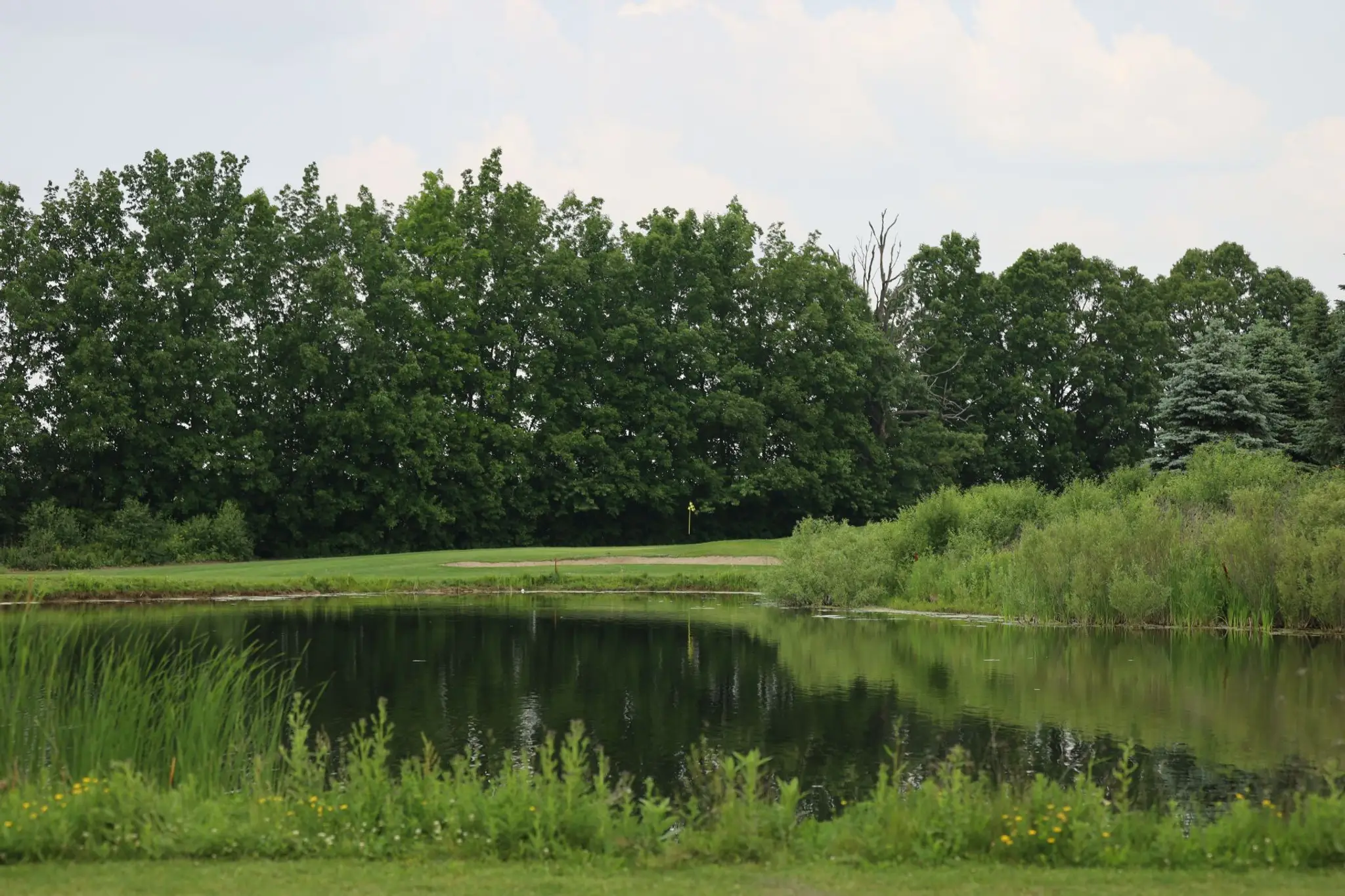 Chippewa Creek Golf