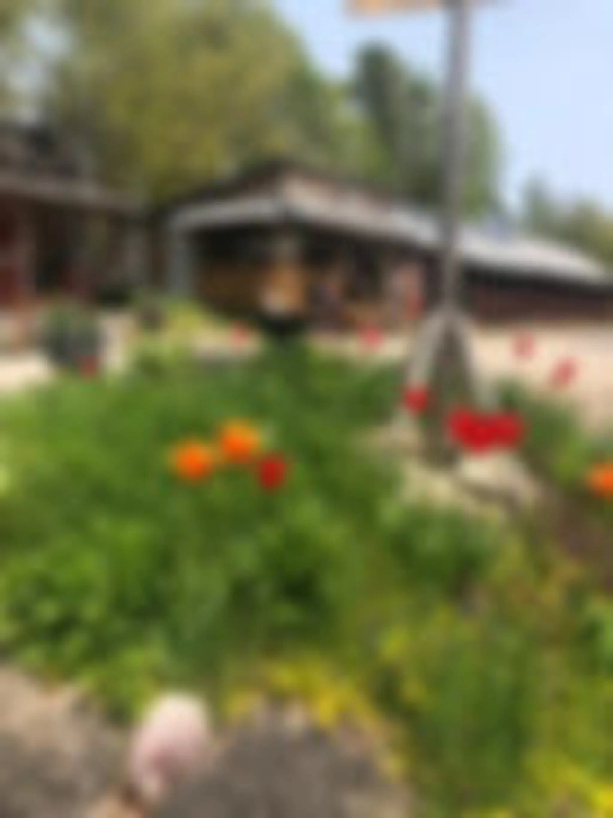 Kicking Mule Guest Ranch (Kicking Mule Ranch)