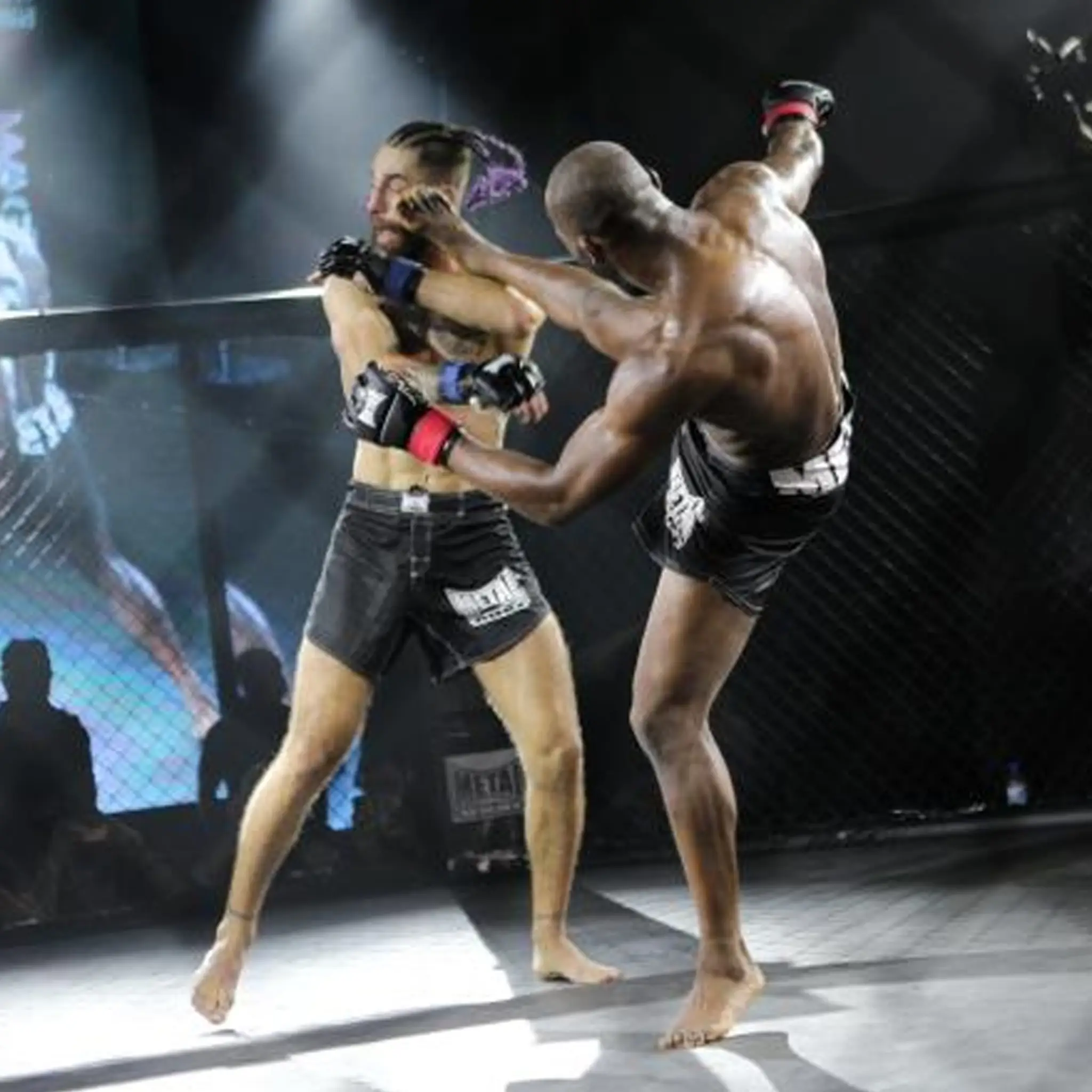Ninja mixed martial arts and Fitness Academy Chennai