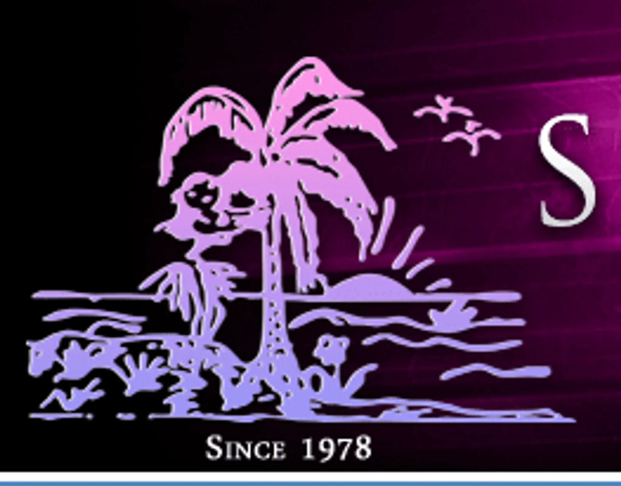 Siony's Dance Company