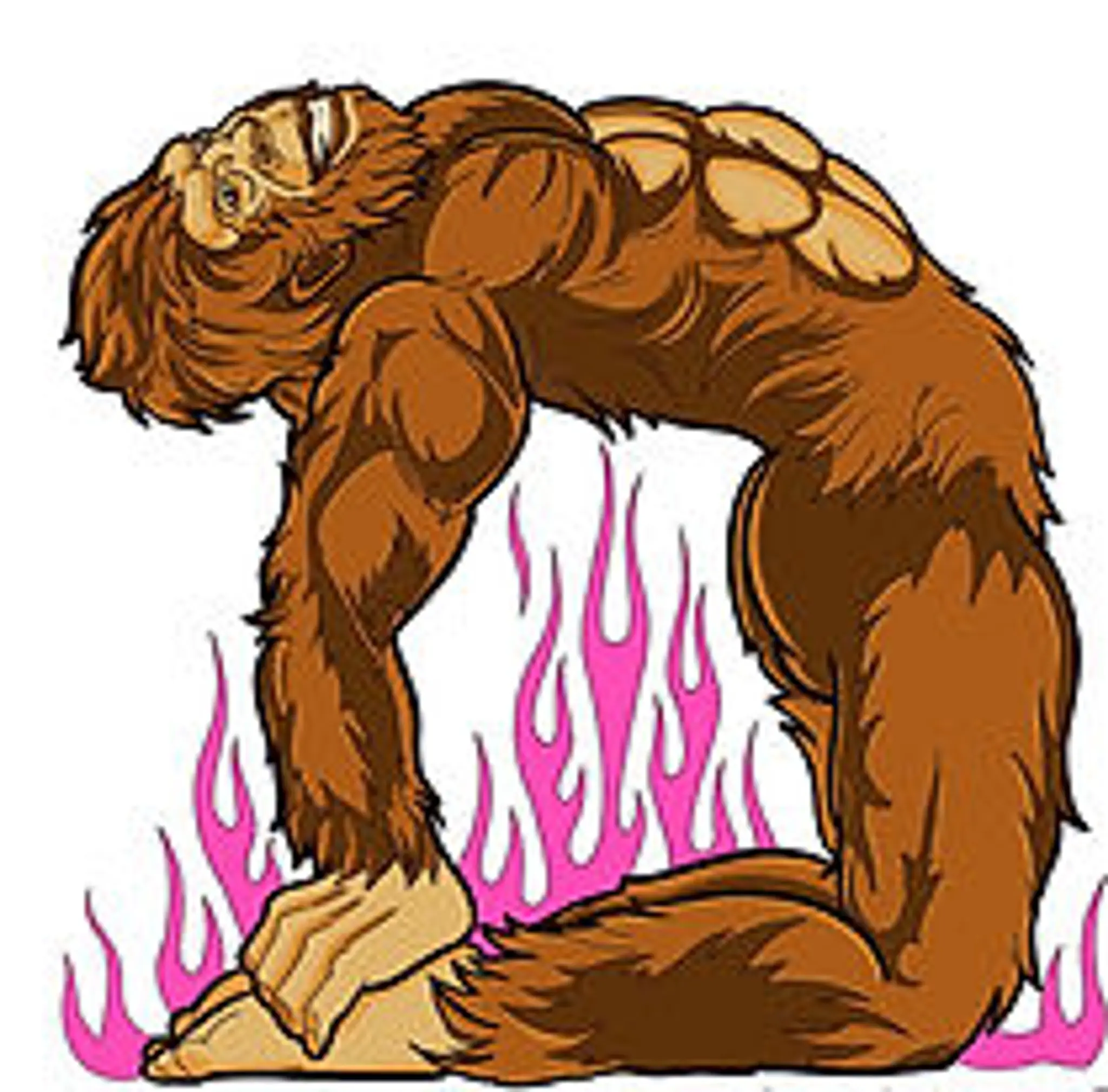 The Body Shop Hot Yoga & Fitness