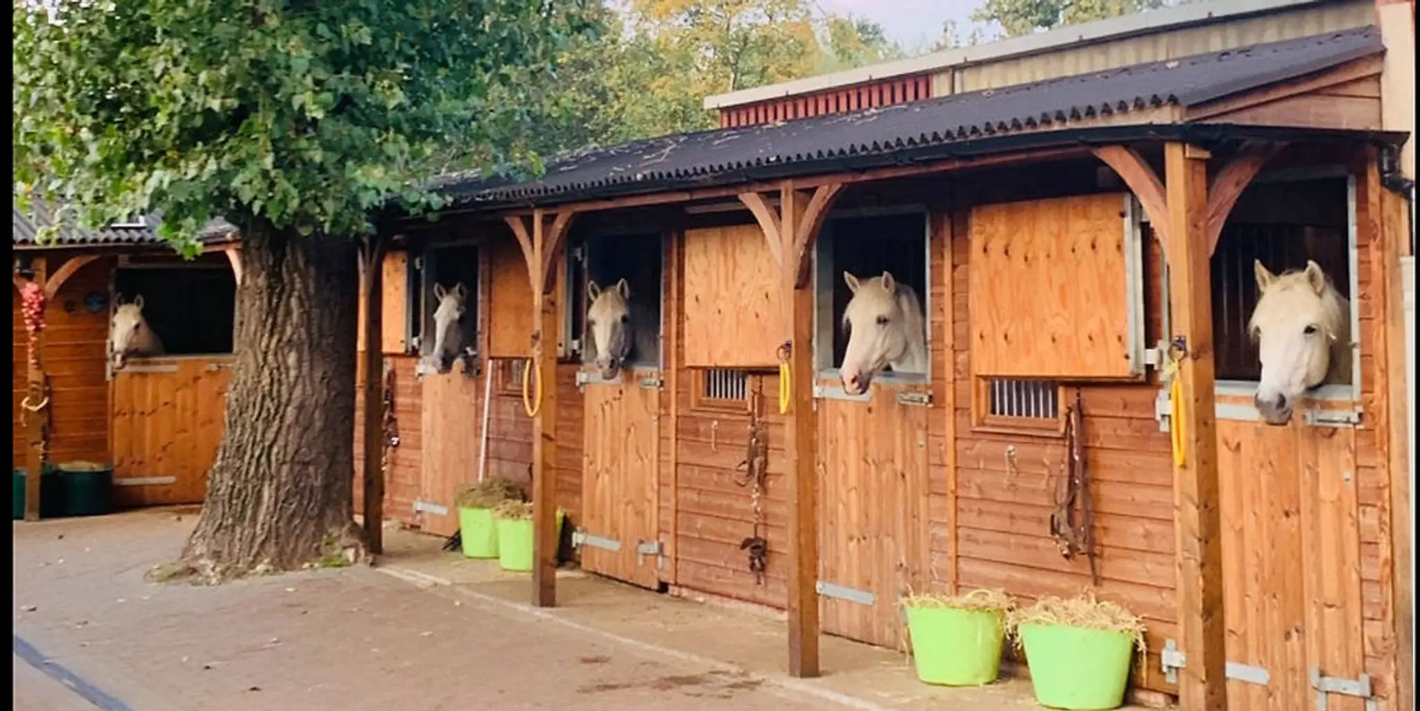 Wormwood Scrubs RDA Pony Centre