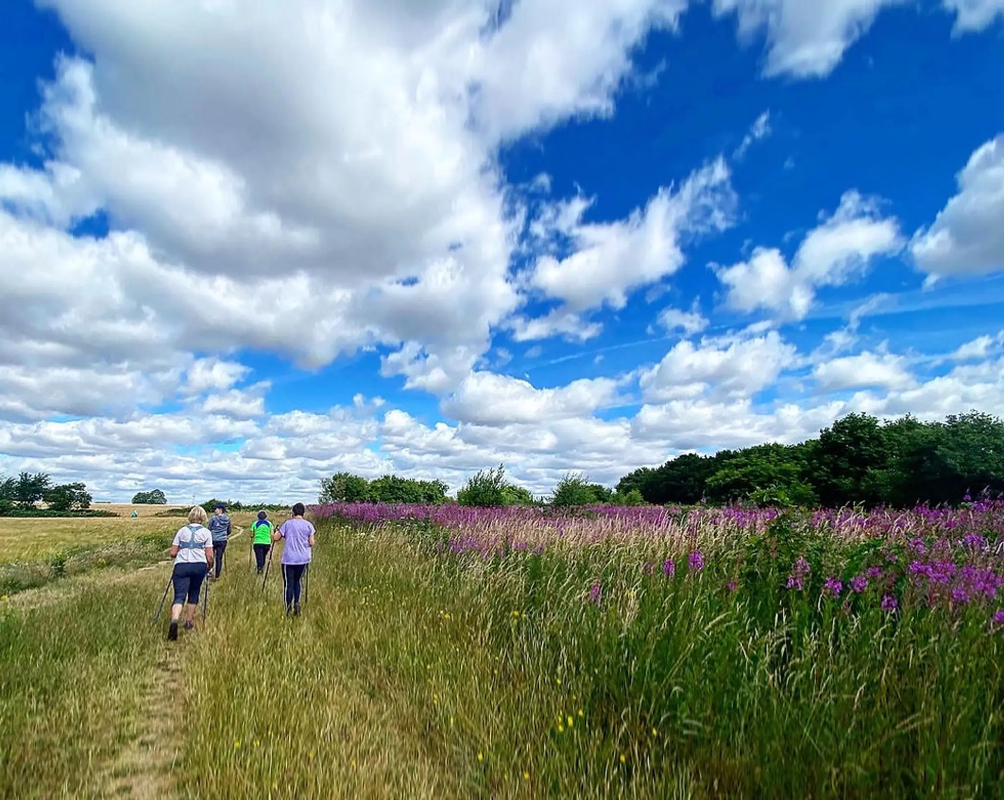 Norfolk's Nordics - Nordic Walking with Donna