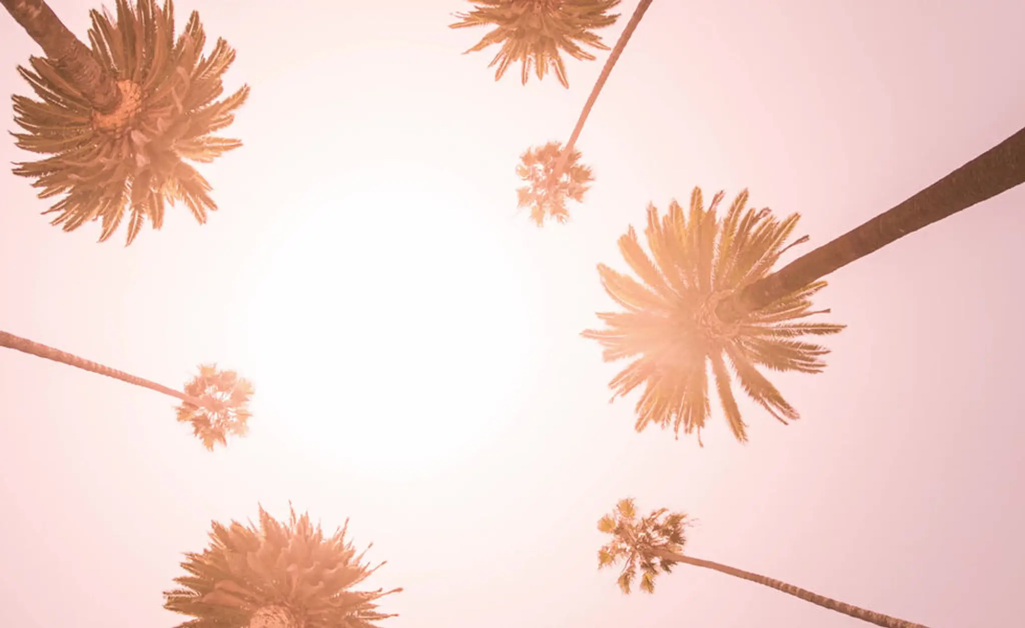 Empower Lifestyle and Fitness