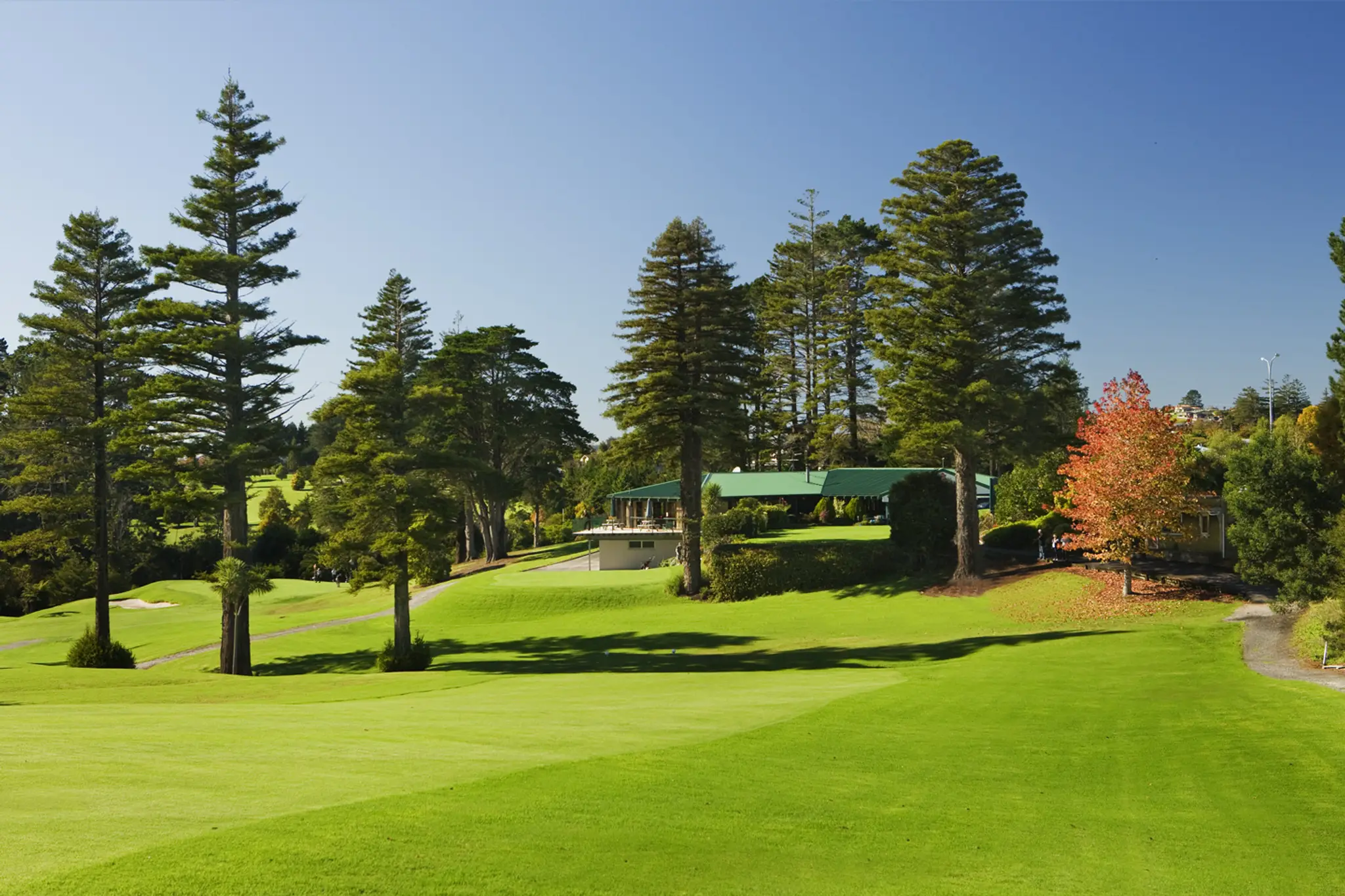 Redwood Park Golf Club Inc