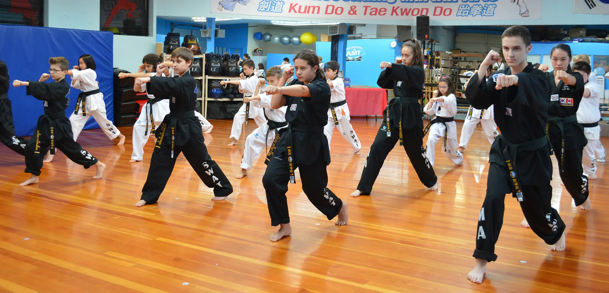 Transcending Martial Arts