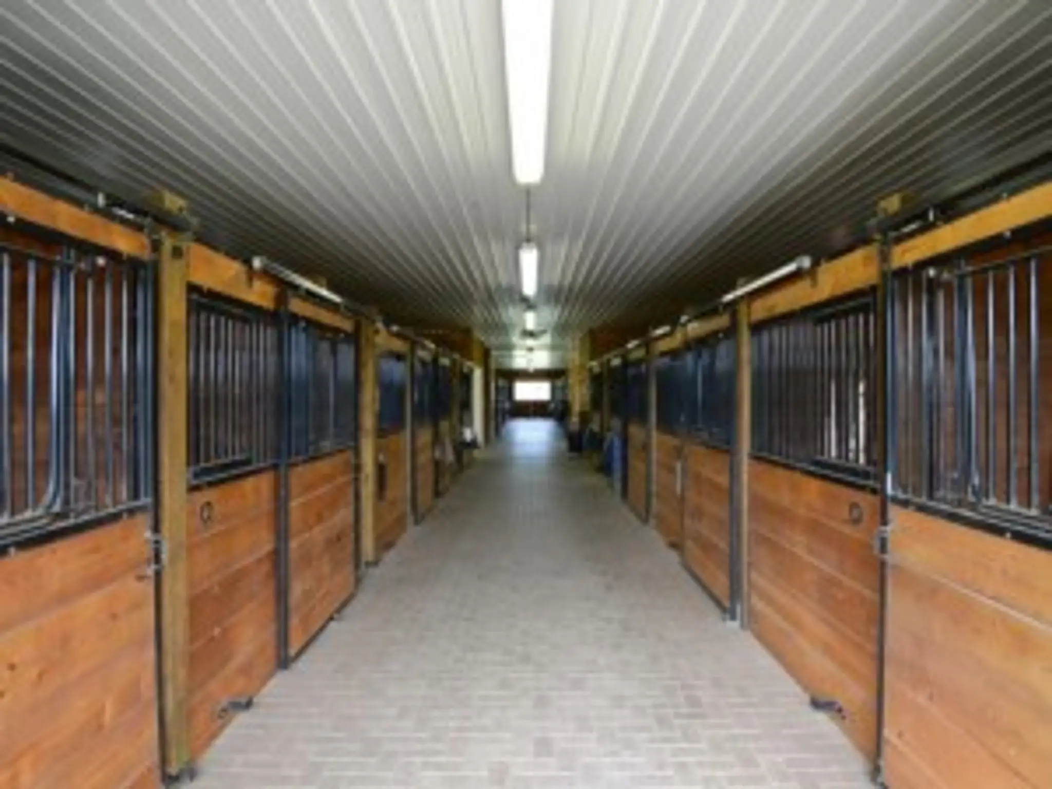 Legacy Lane Stables