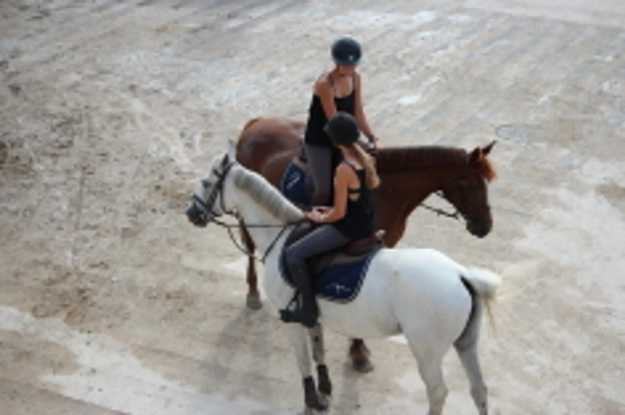 Equestrian Center Des Granges Stud De Sarrabouze