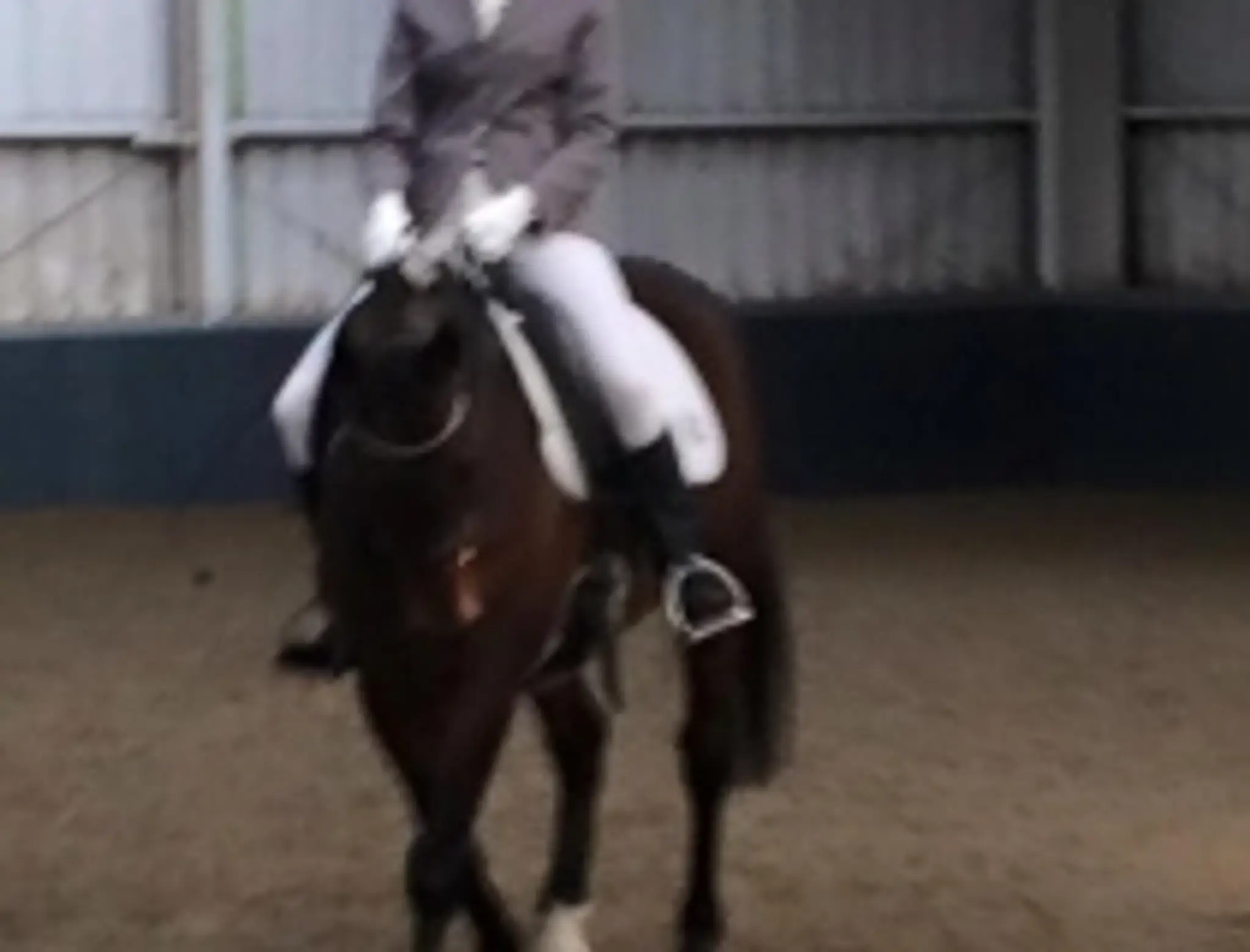 Northbrook Equestrian Centre