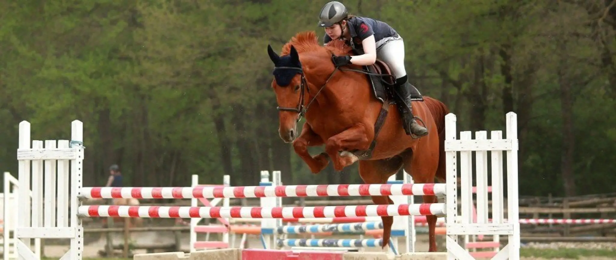 Equestrian Center Castres Borde Basse