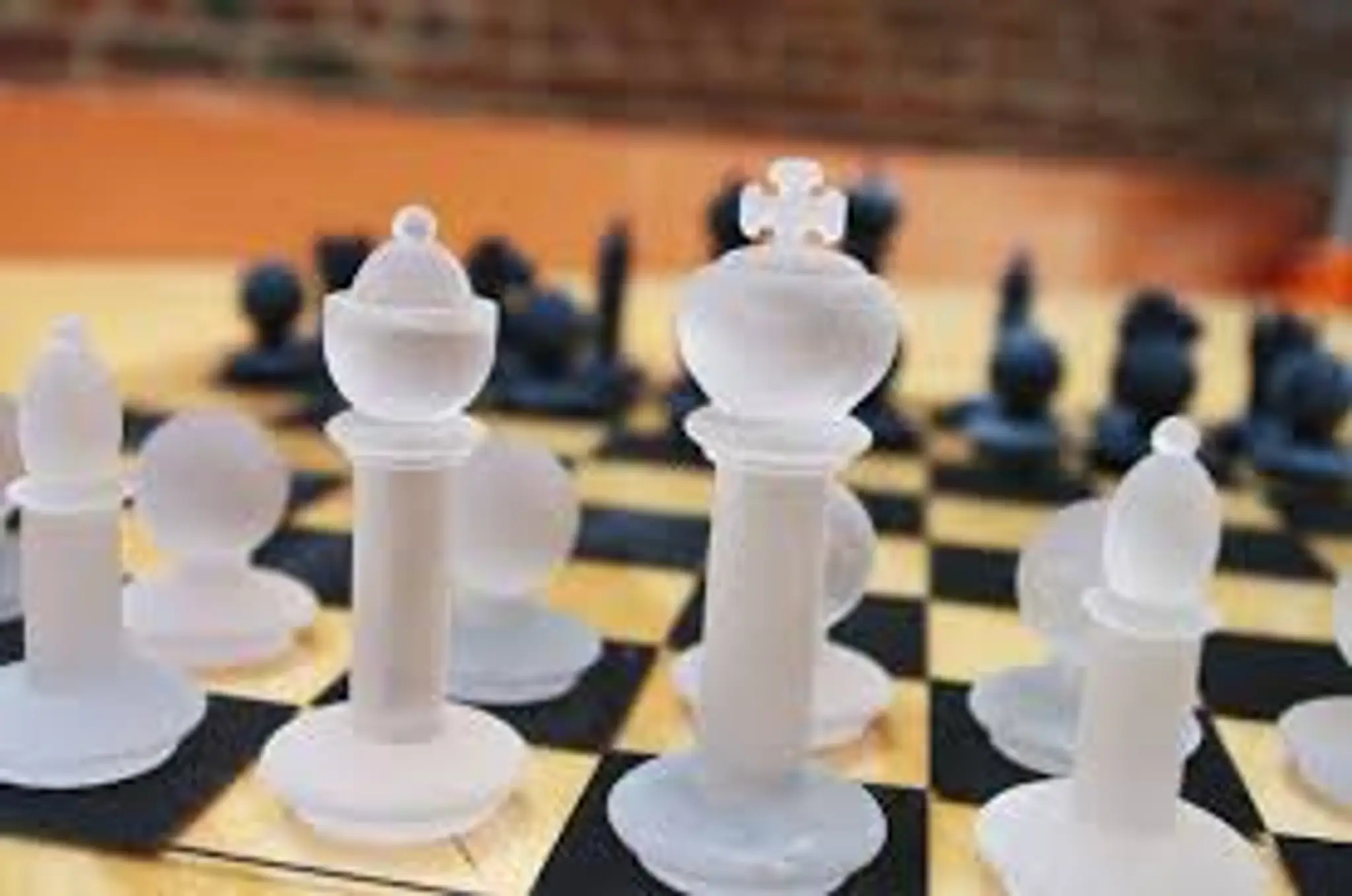 Chess professional chess academy