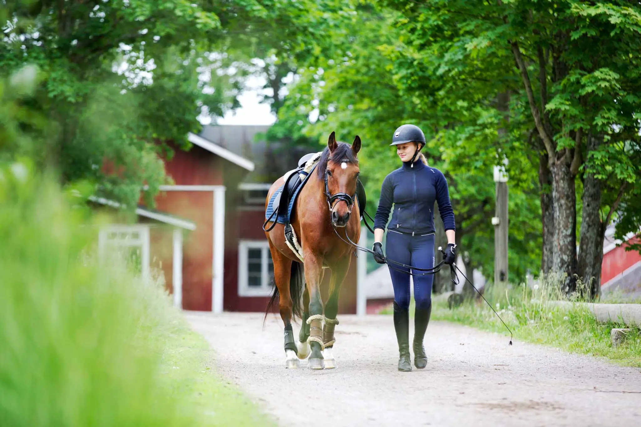 Greybrook West Equestrian