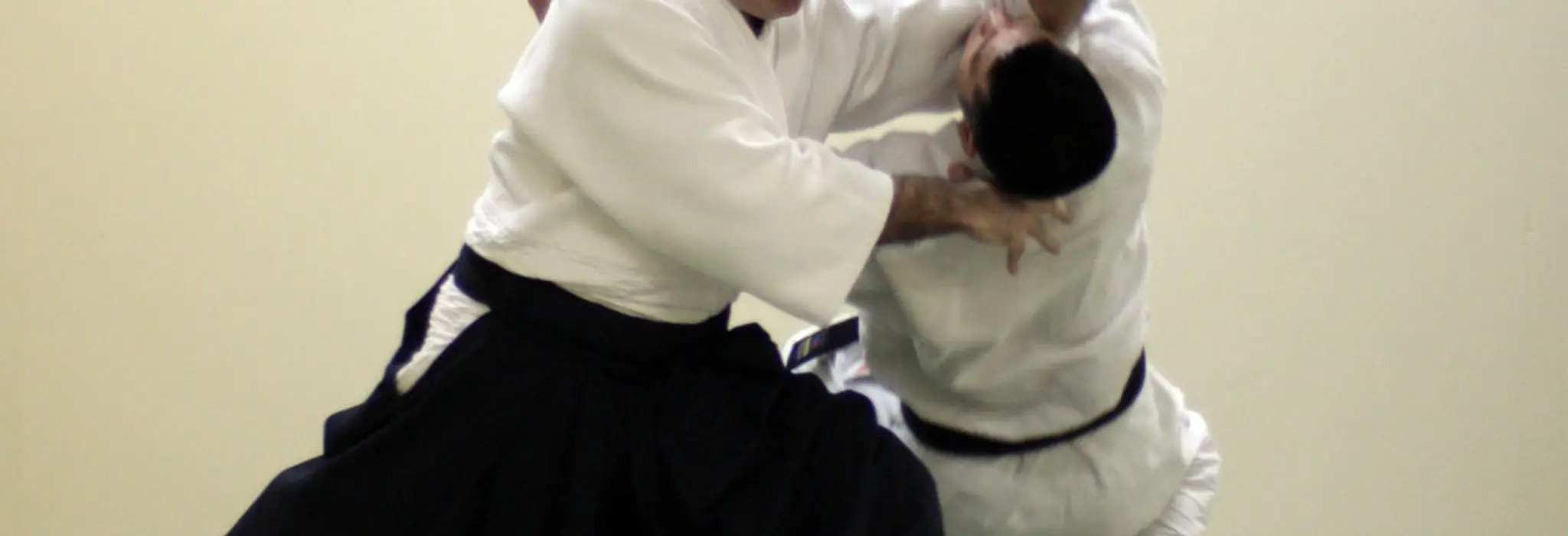 Aikido Shindokan