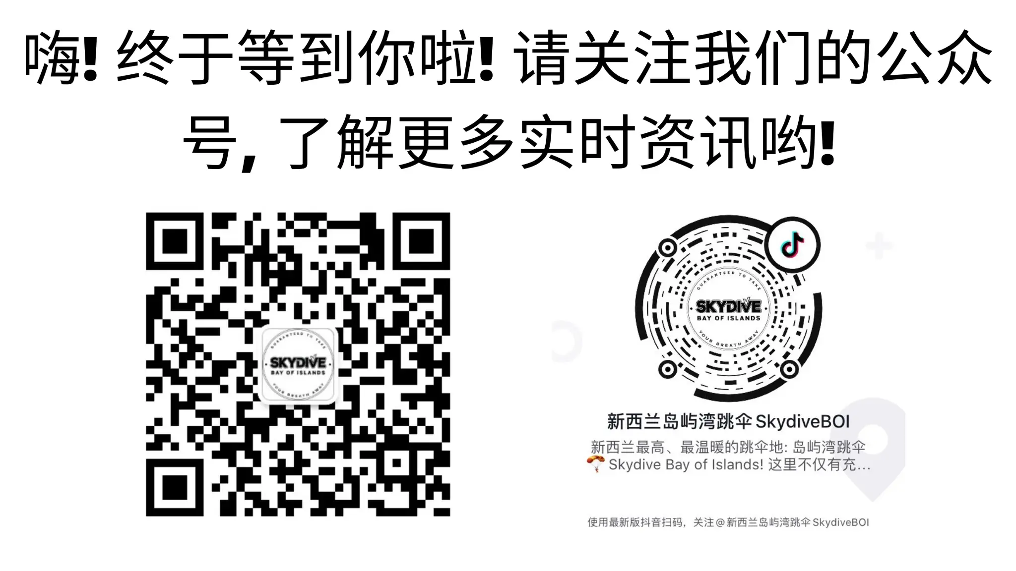 Skydive Bay of Islands