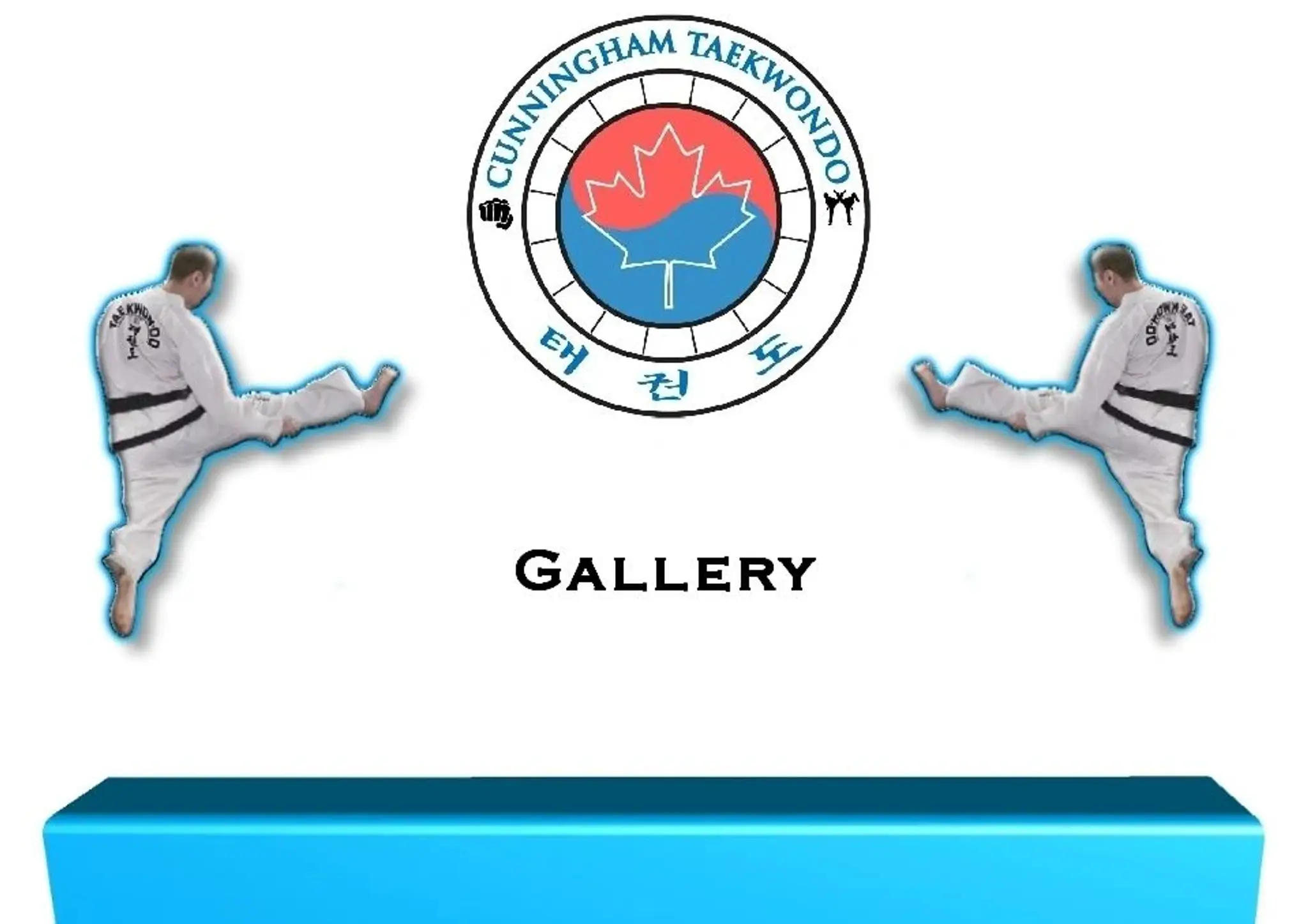 Cunningham Taekwondo