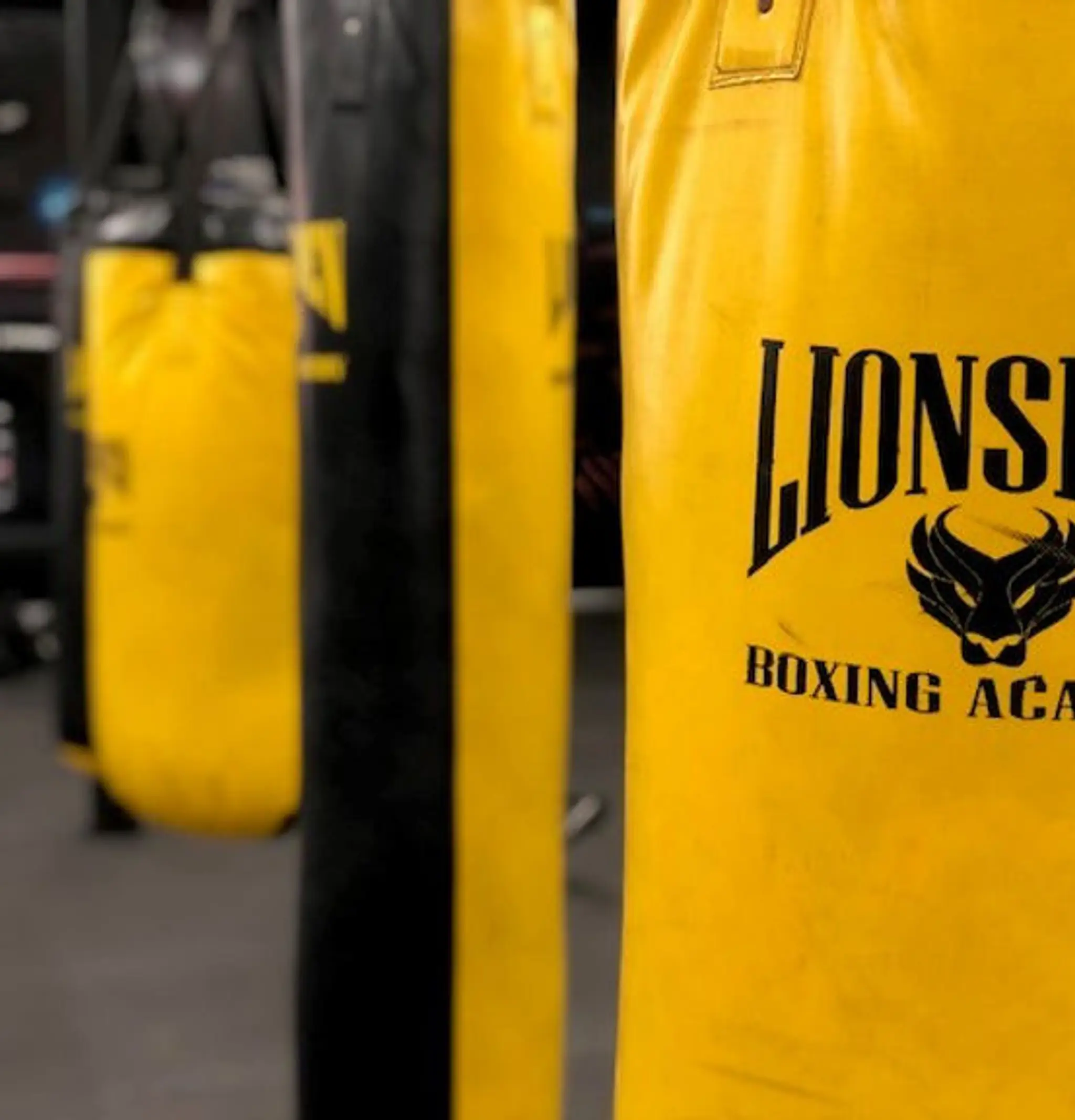 Lionsden Boxing Academy Derrimut